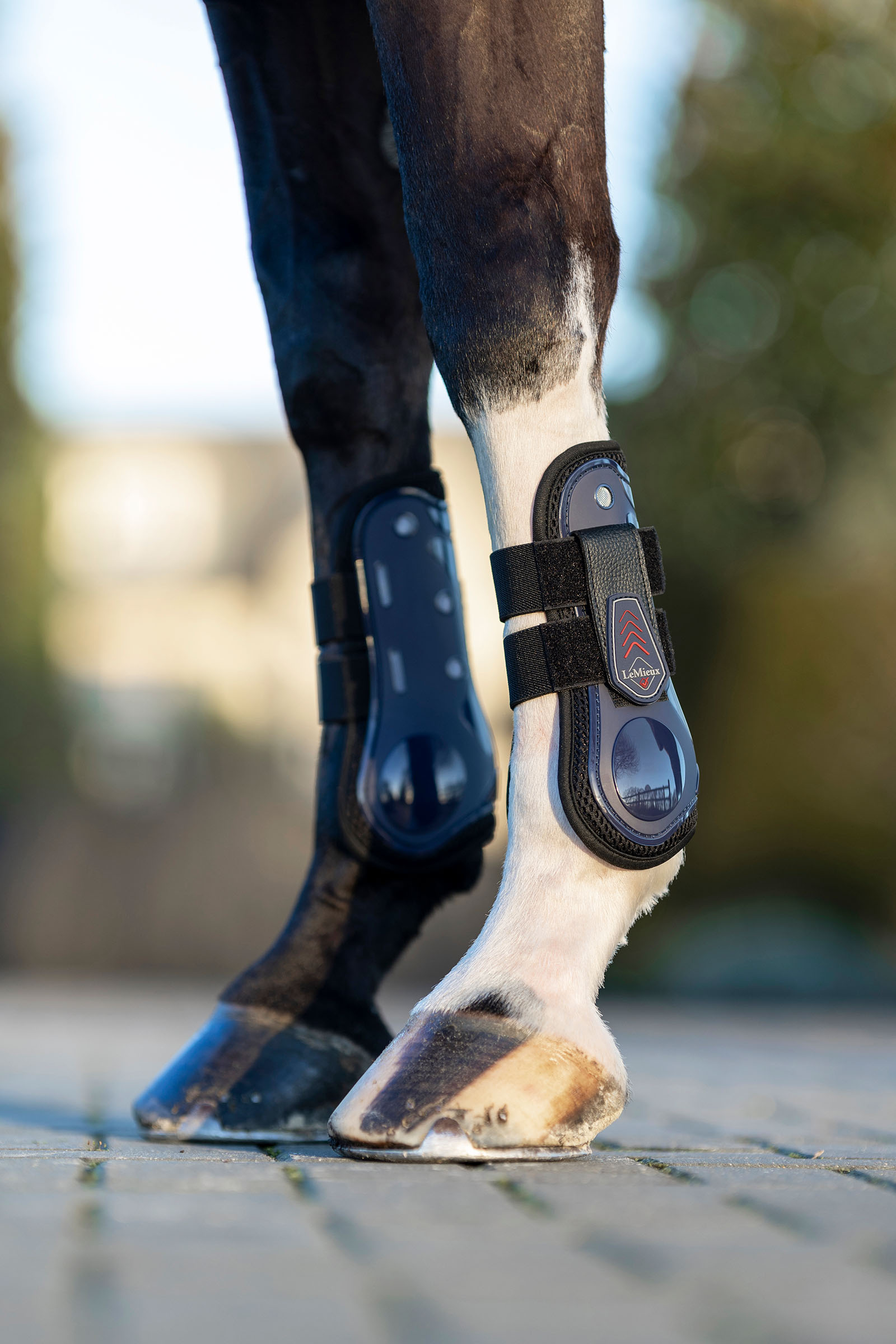 LeMieux Derby ProJump Tendon Boot