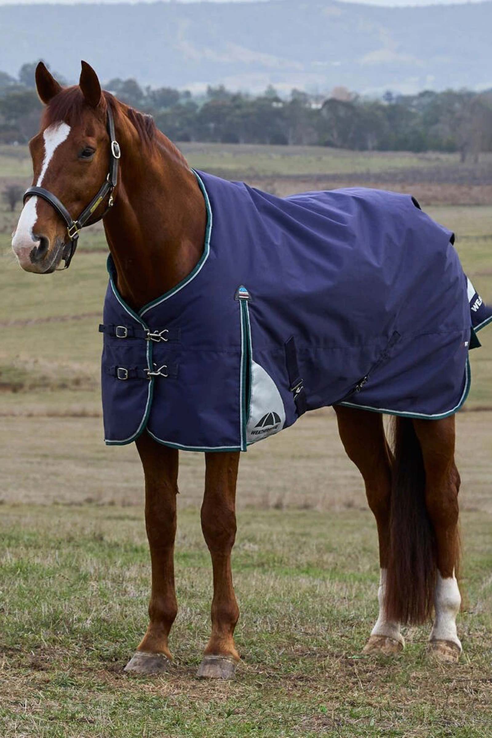 Weatherbeeta ComFiTecPlus Dynamic Turnout Rug, 0 g