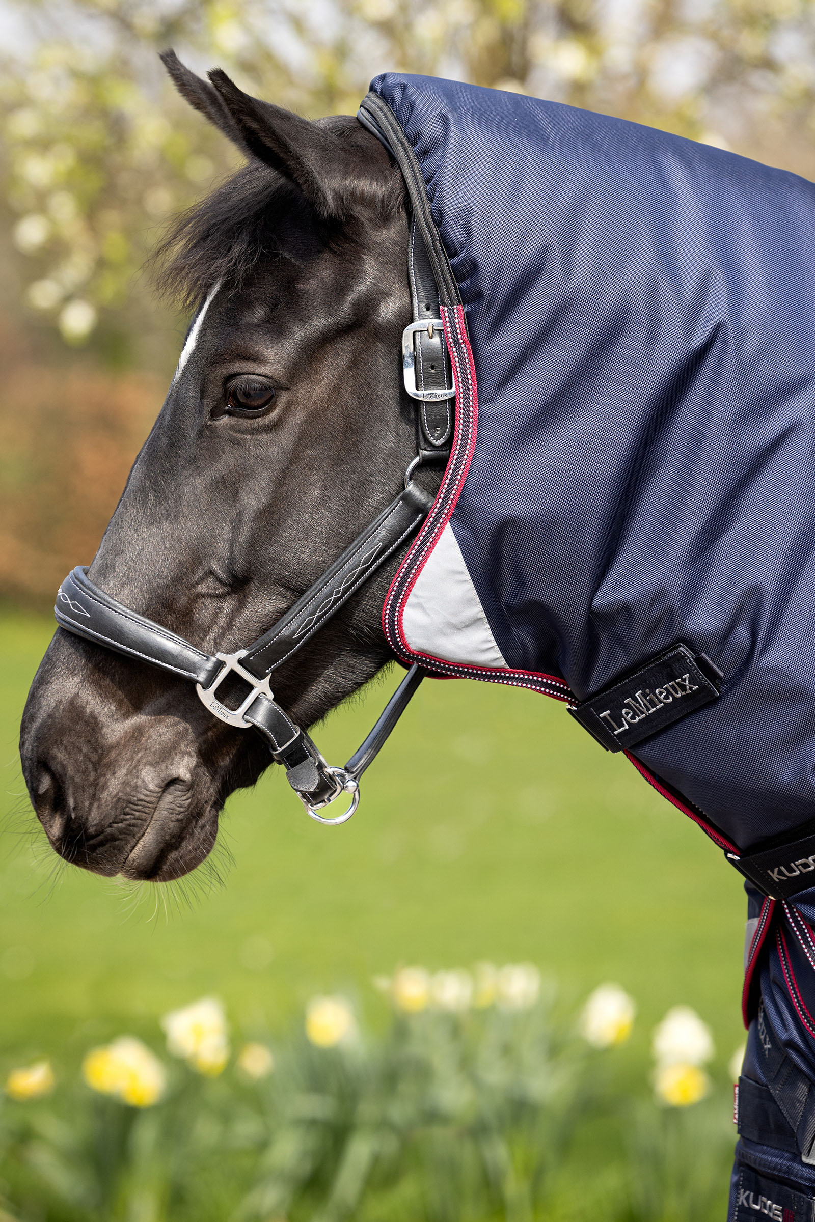 LeMieux Kudos Thermo Layer Turnout Rug 100g