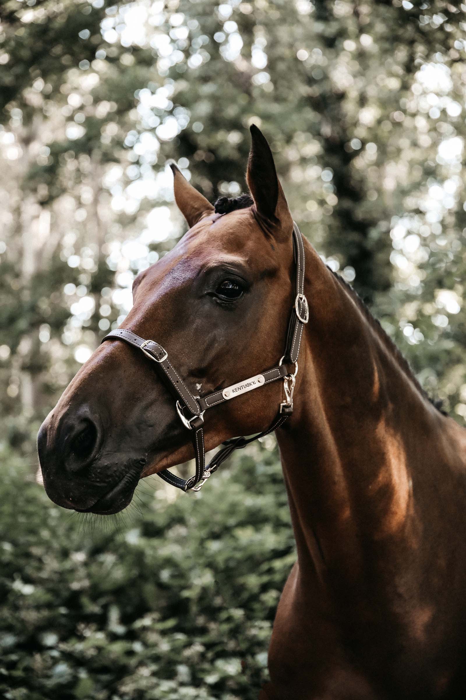 Kentucky Horsewear Flexible Leather Halter Neck Piece