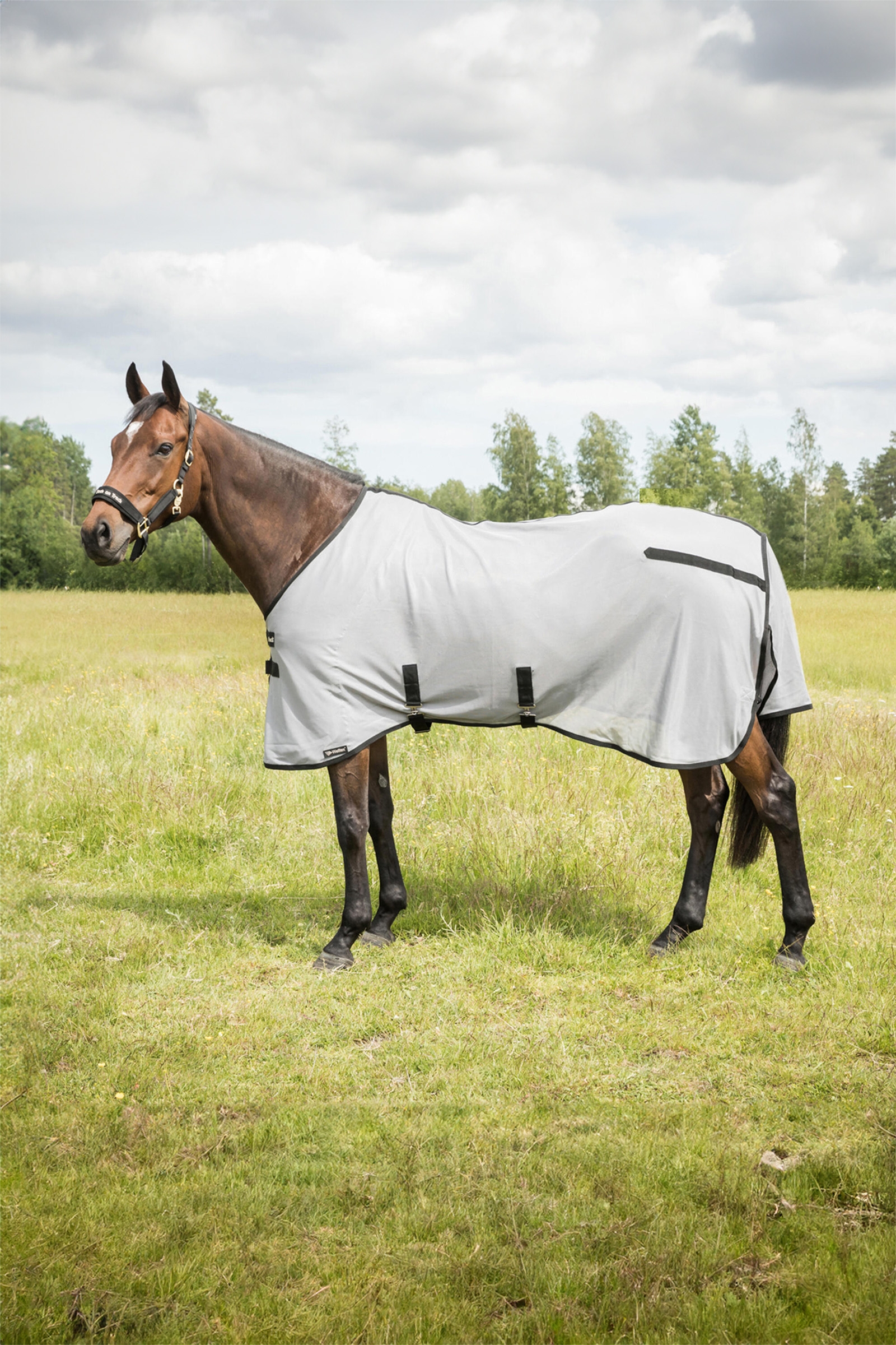 Back on Track Butzer Fly Rug without Hood
