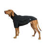 Back on Track Cassie All-Weather Jumper, 35-40cm
