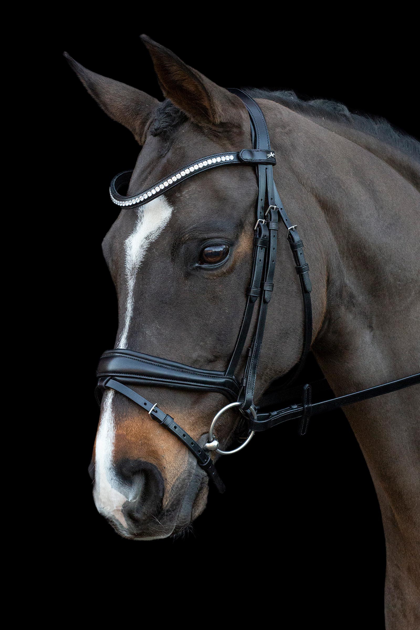 Schockemöhle Sports Charleston Bridle