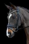 Schockemöhle Sports Charleston Bridle