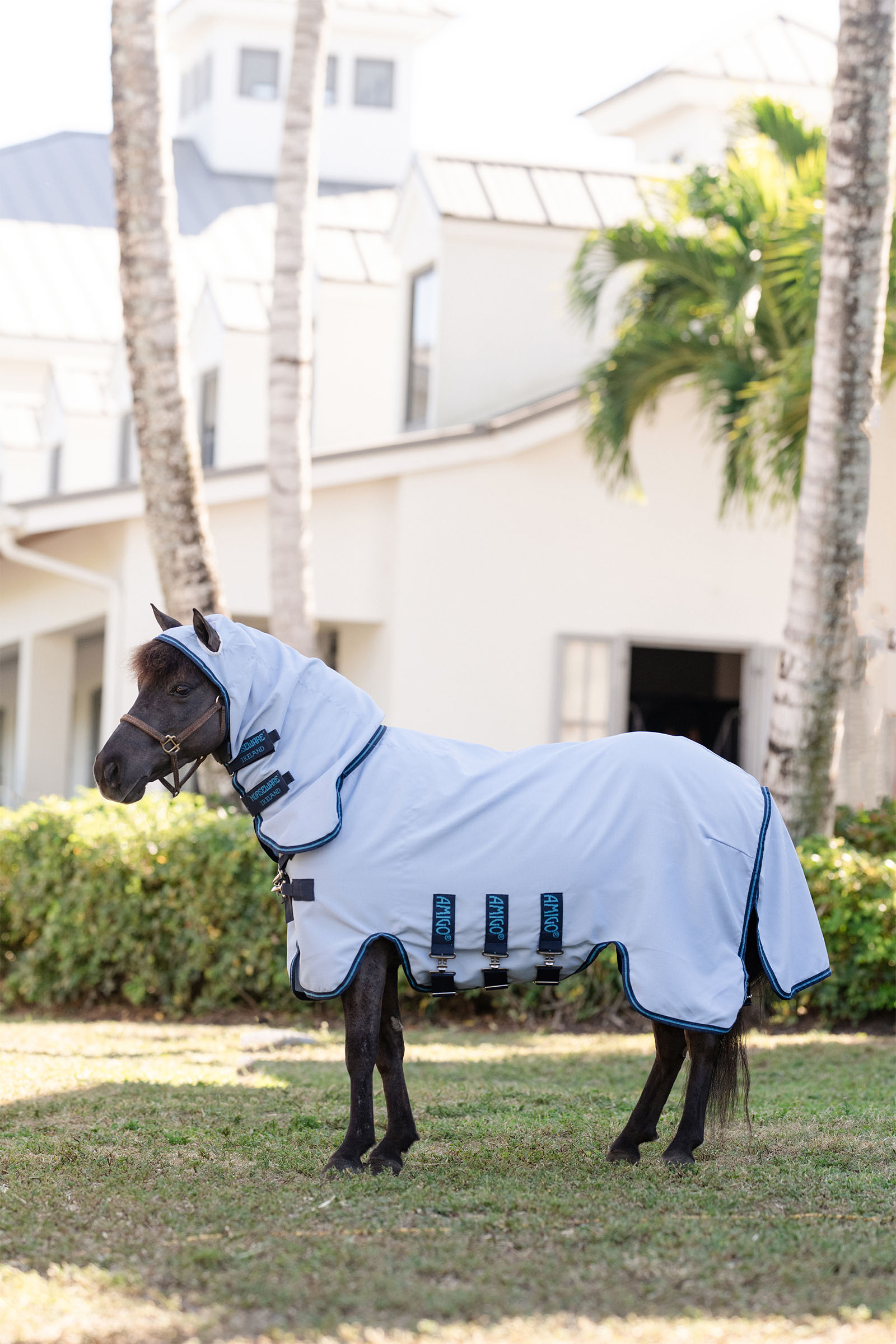 Azure Blue/Navy & Electric Blue Horseware Amigo Ripstop Petite Hoody