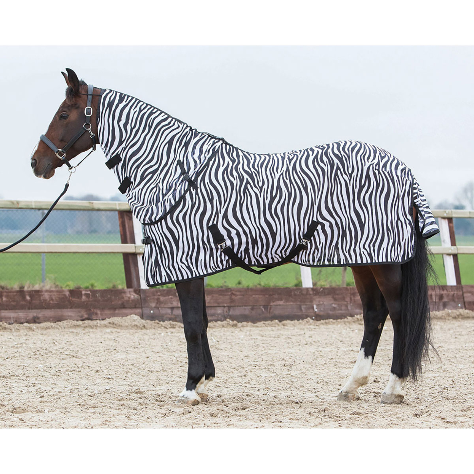 Harry's Horse Fly Rug with Detachable Neck