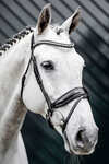 Horseware Diamante Flash Bridle