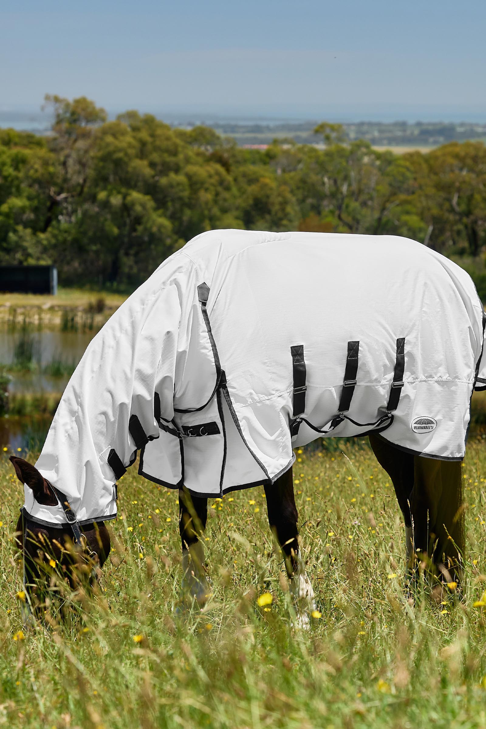 Weatherbeeta Comfitec Sweet Itch Shield Fly Sheet Combo W. Fixed Neck, 0g