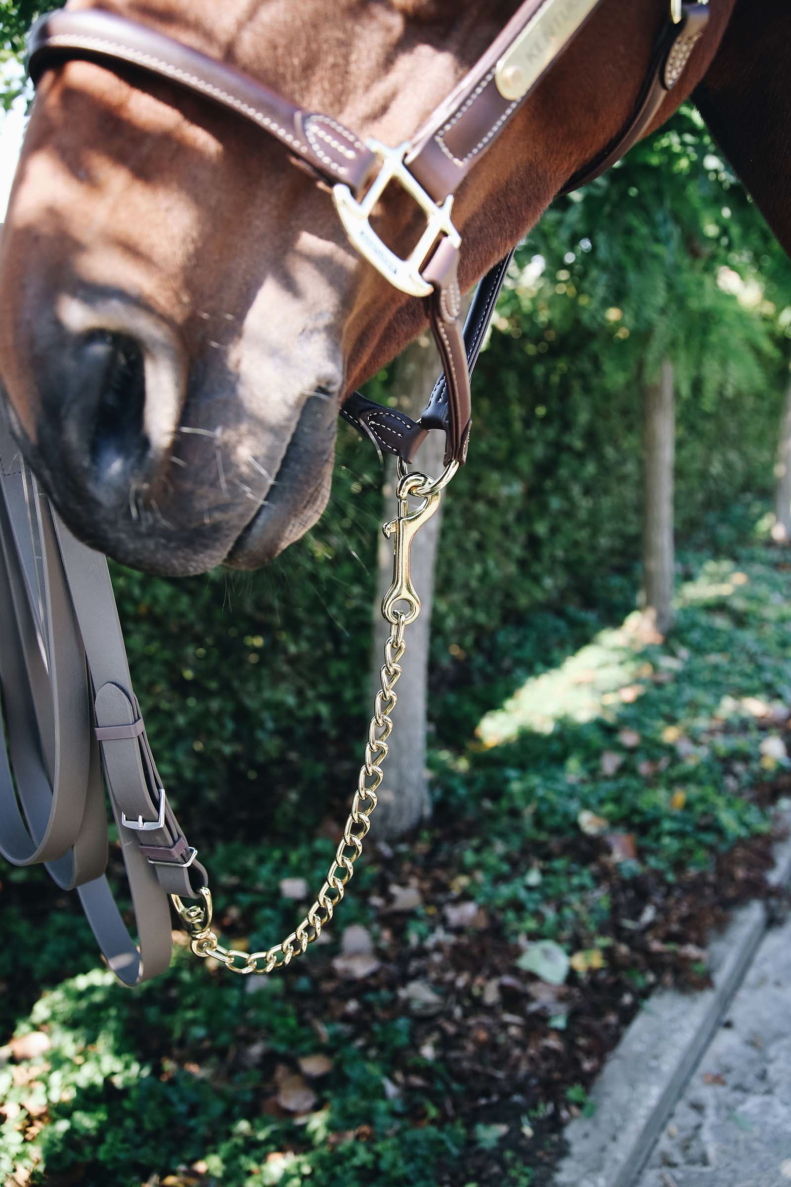 Kentucky Horsewear Stallion Chain 60 Cm