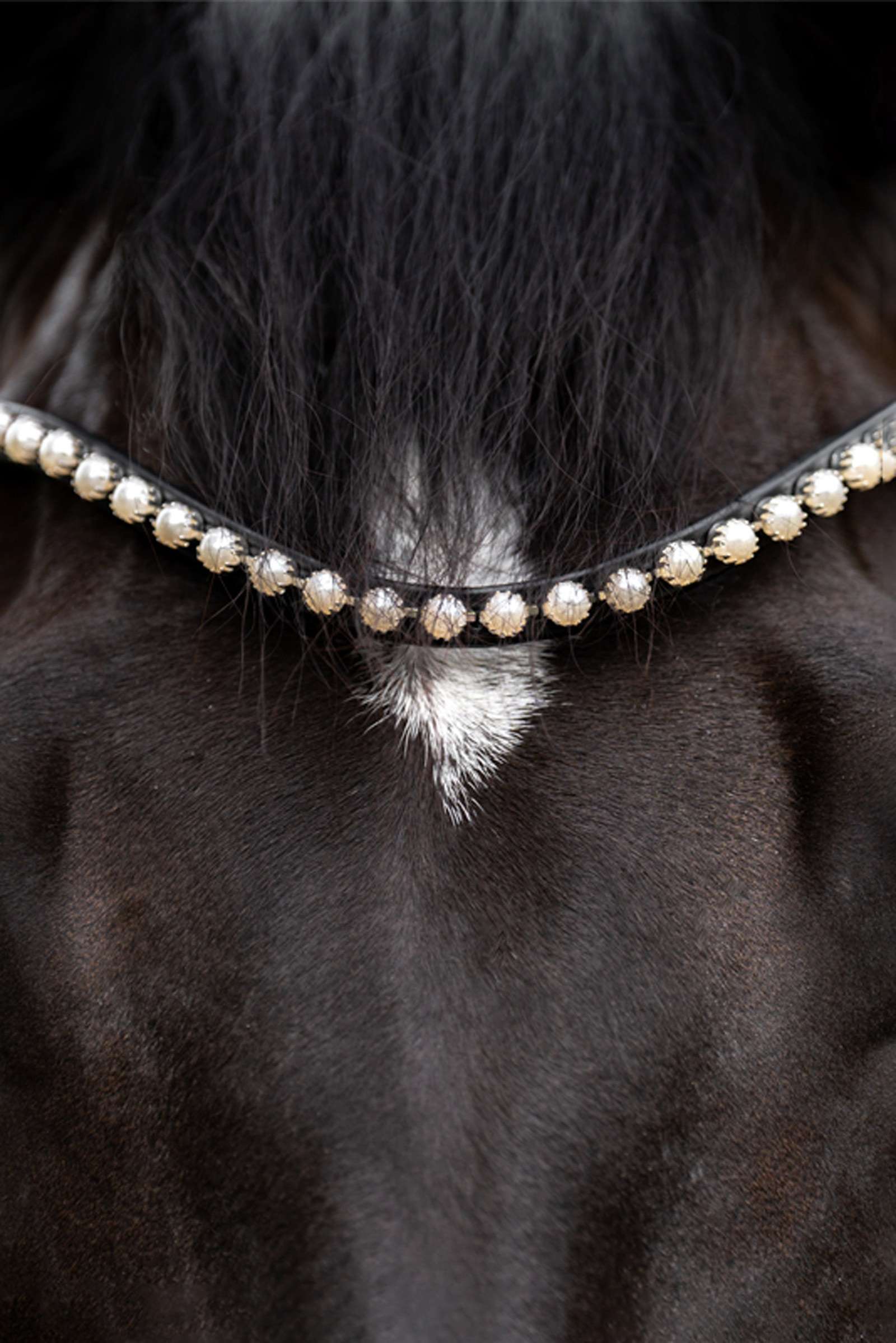 Kavalkade Pearl Browband