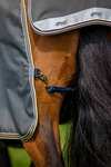 Horseware Amigo Bravo 12 Plus Turnout Rug With Detachable Neck, 0g