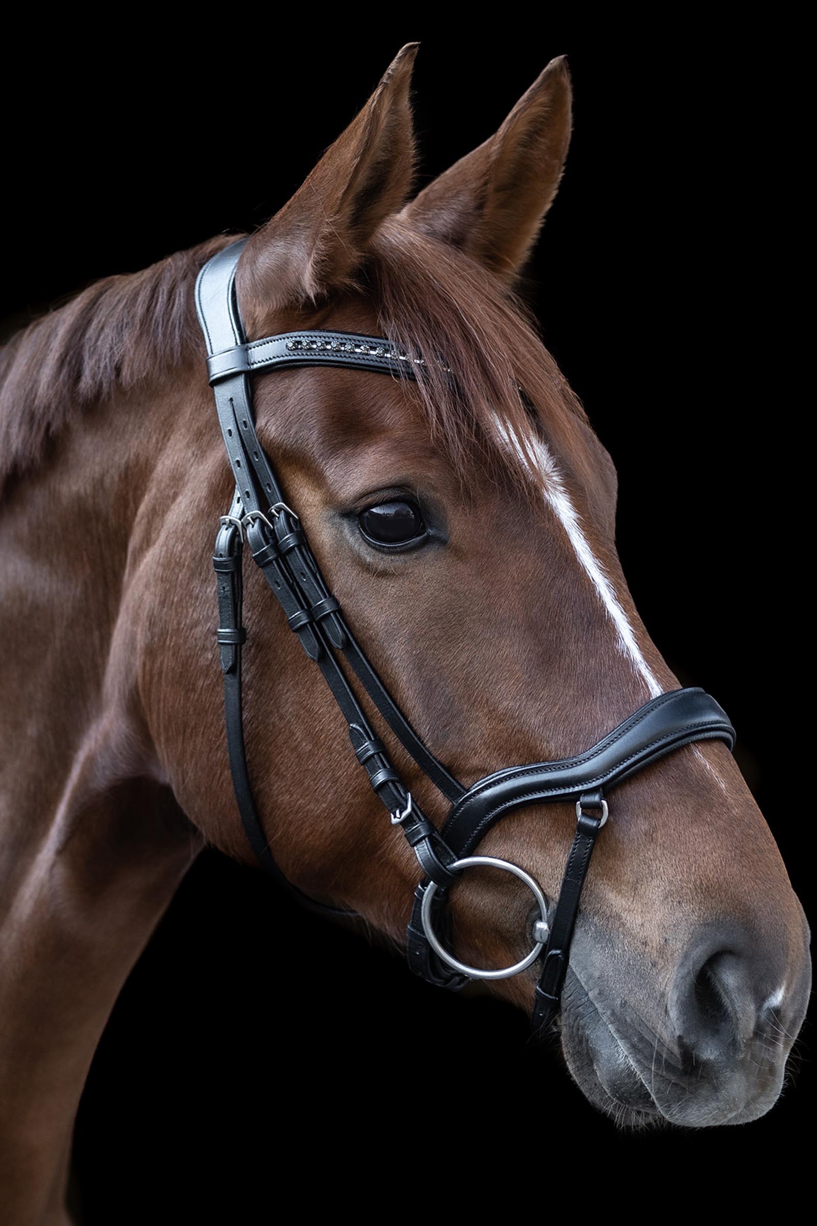 Waldhausen X-Line New Shape II, Bridle