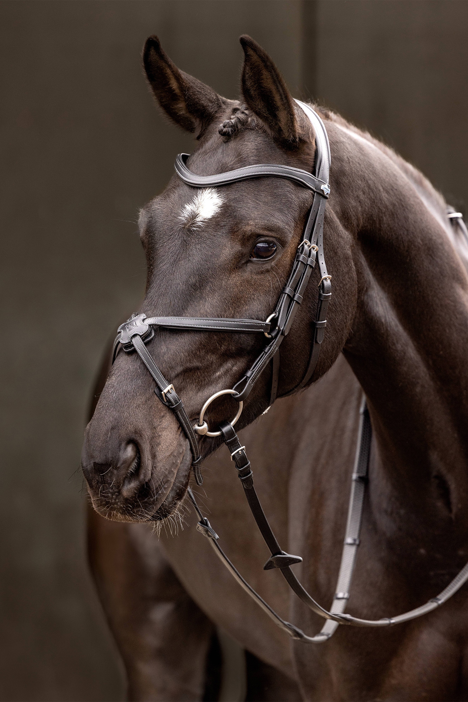 LeMieux Arika Grackle Bridle