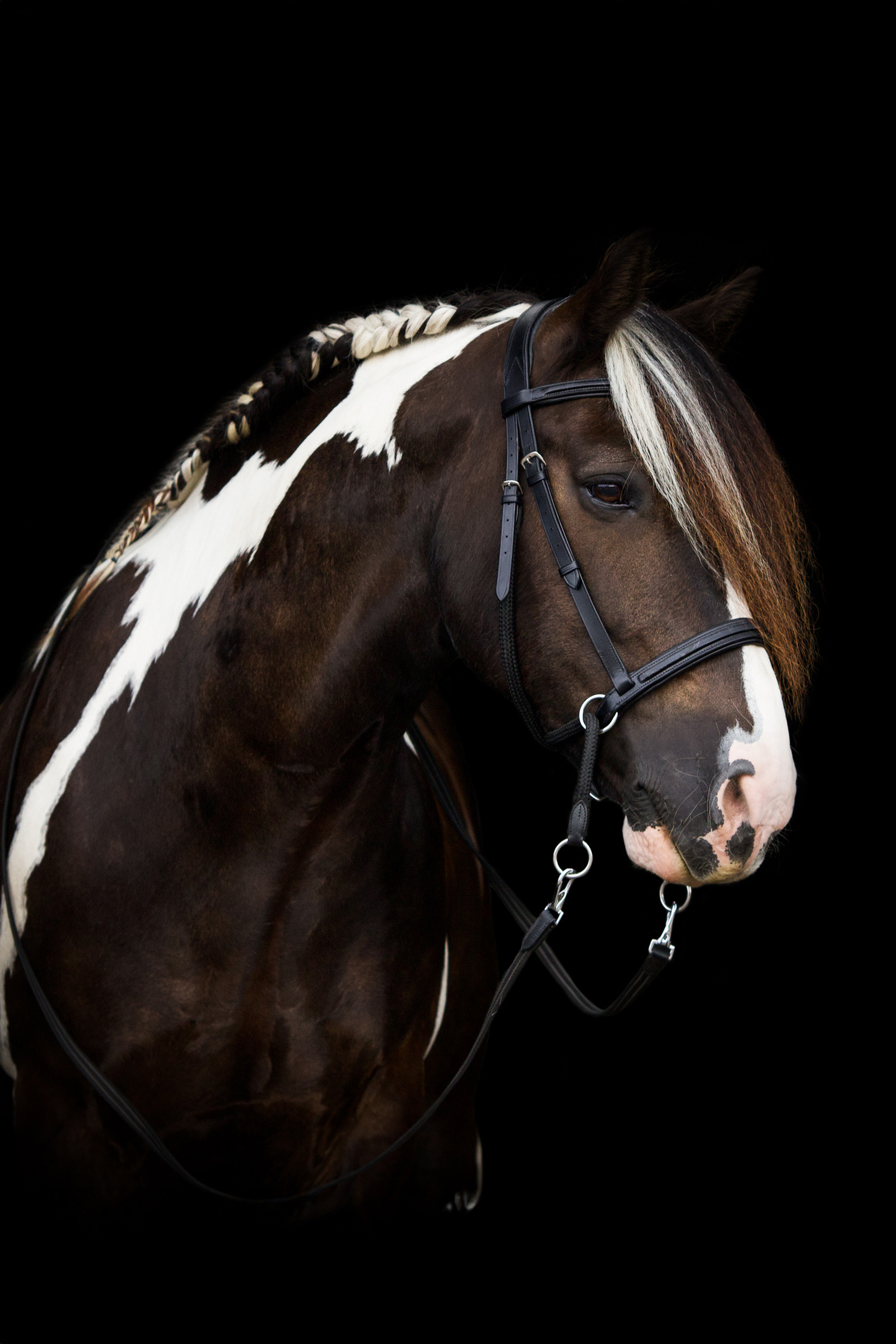 F.R.A. Freedom Riding Articles Dietsji Bitless Bridle With Reins (System 5)