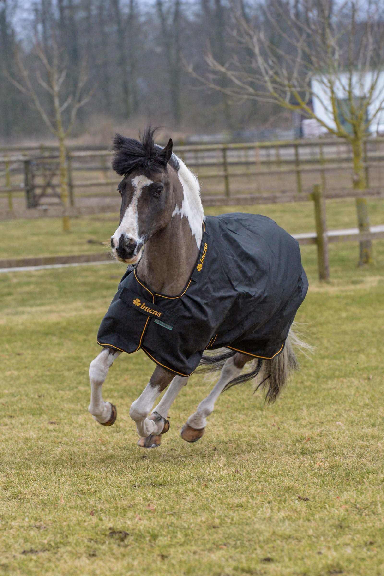 Bucas Irish Turnout Rug, 150g