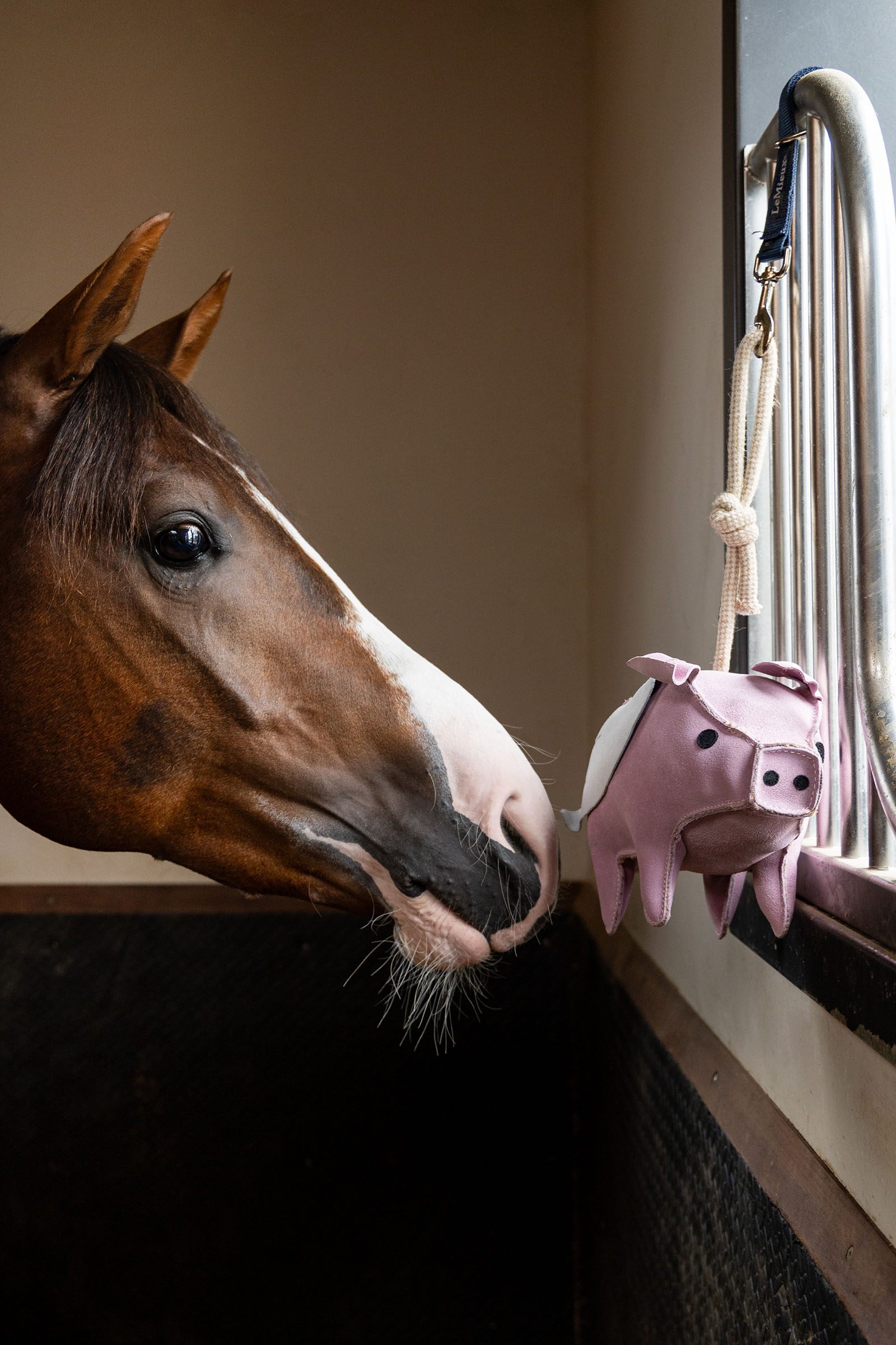 LeMieux Horse Toy Flying Pig