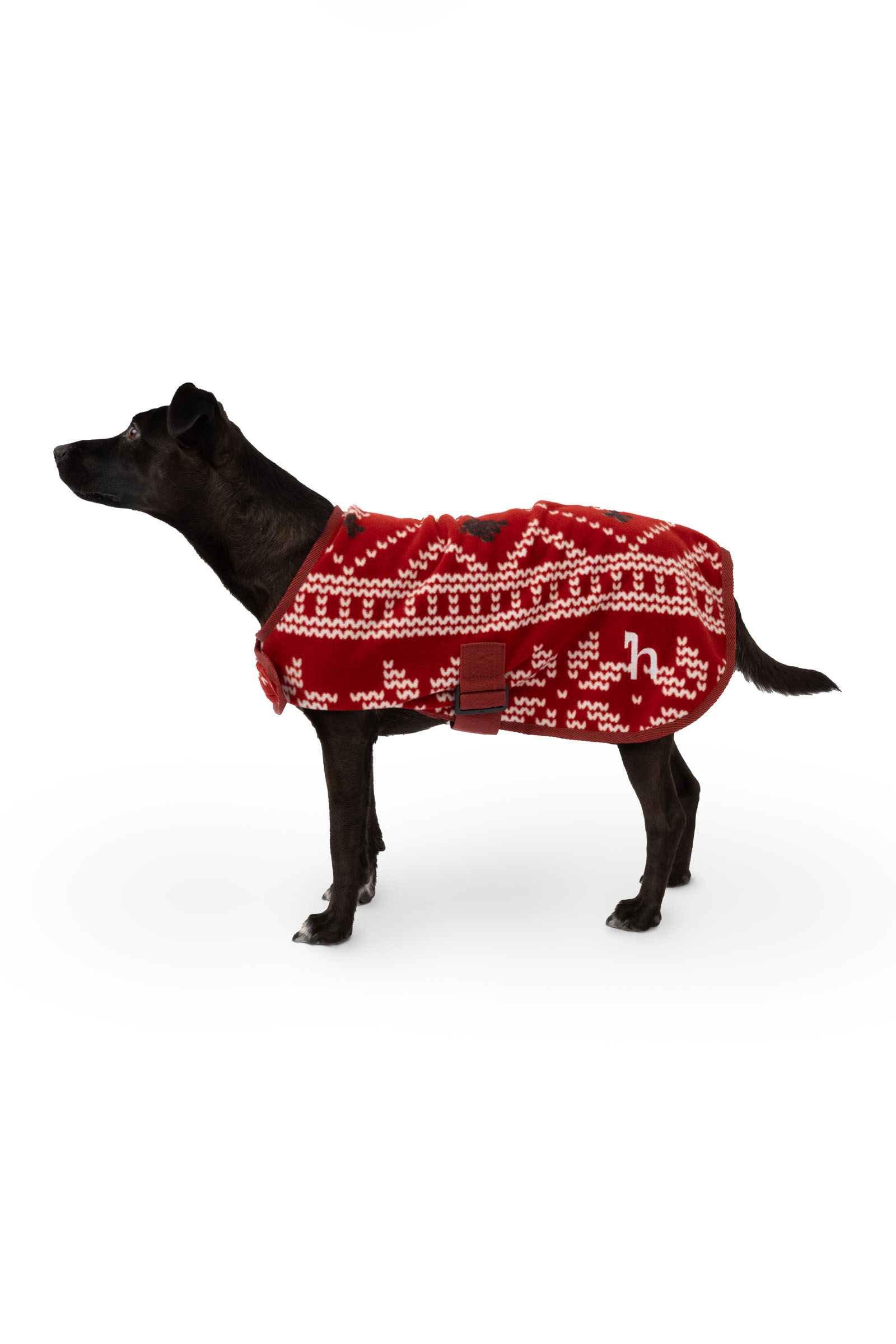 Horze Christmas dog sweater