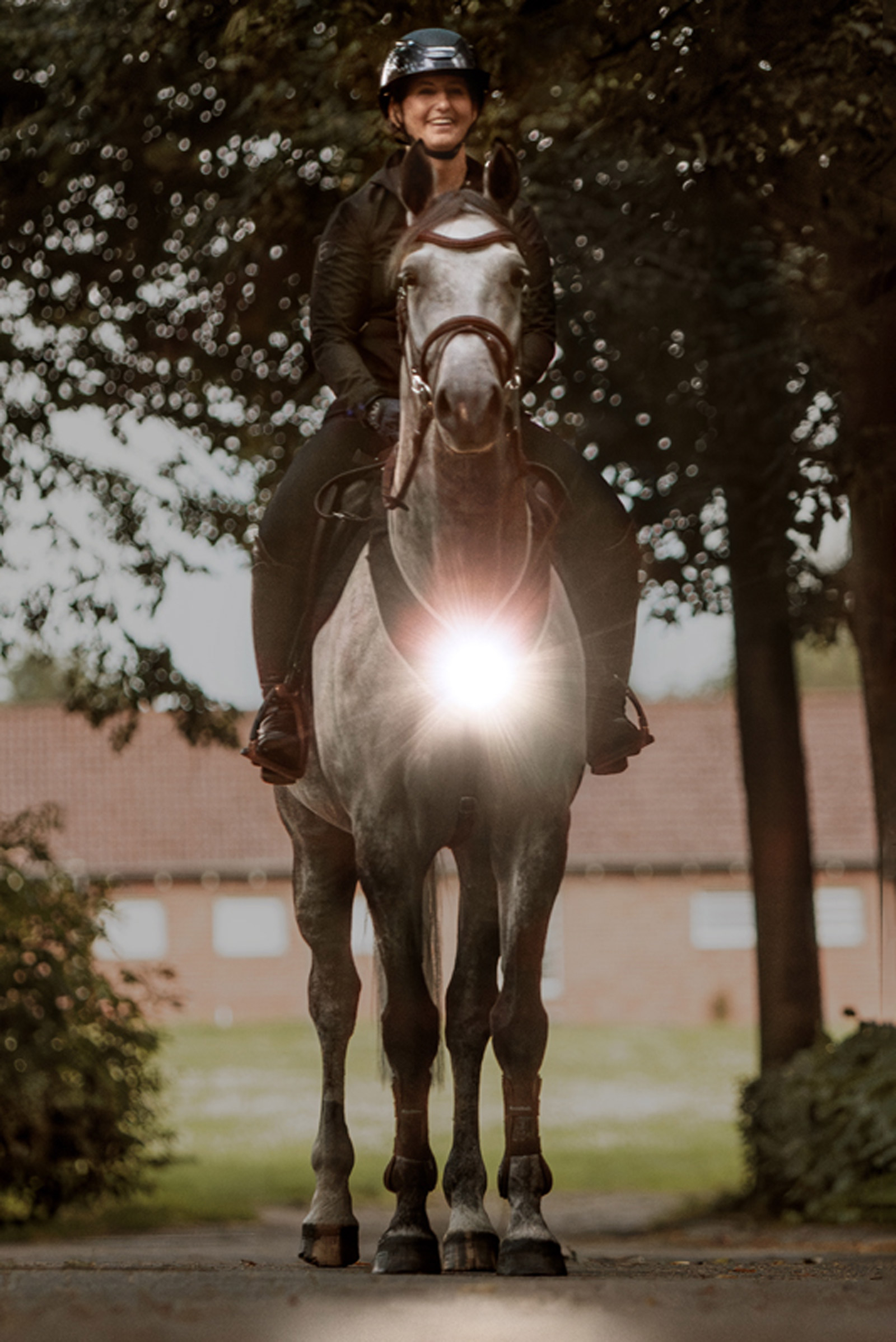 Kavalkade Horselight Breastplate & Saddle Light, Set 1