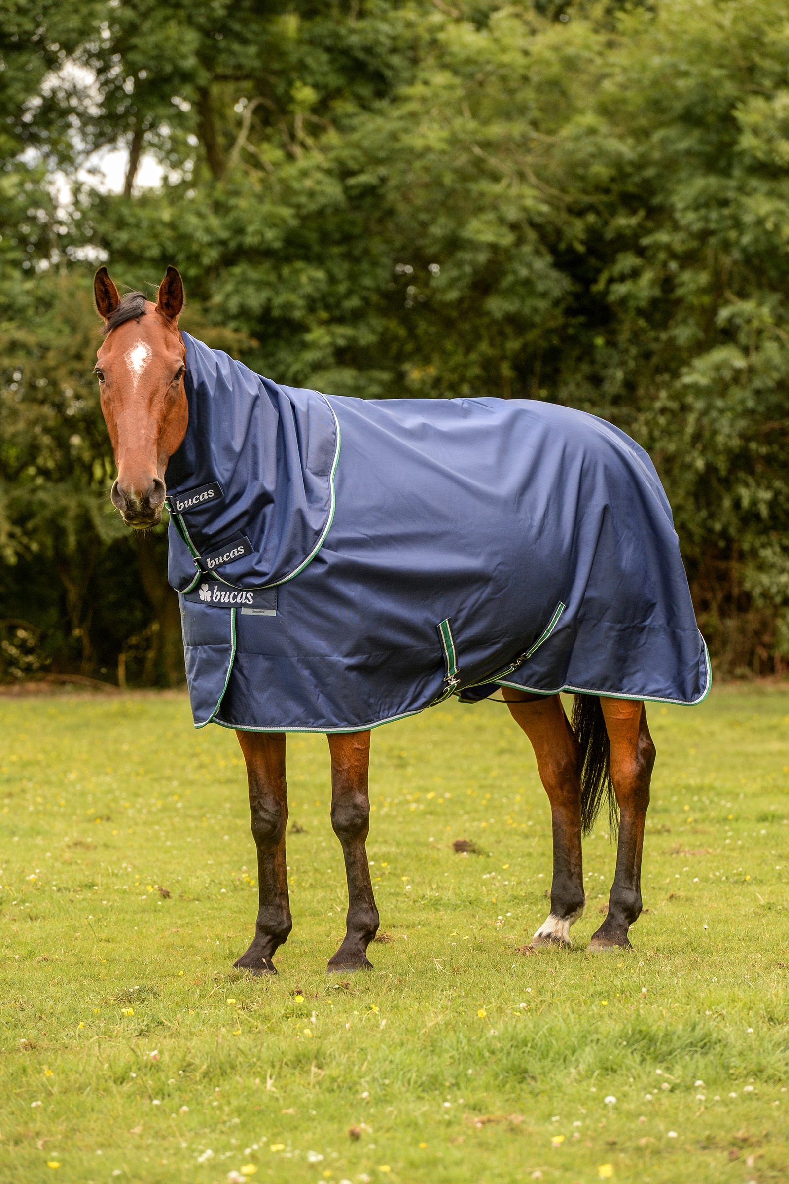 Bucas Smartex Rain Pony Turnout Rug with Cooling Function, 0g
