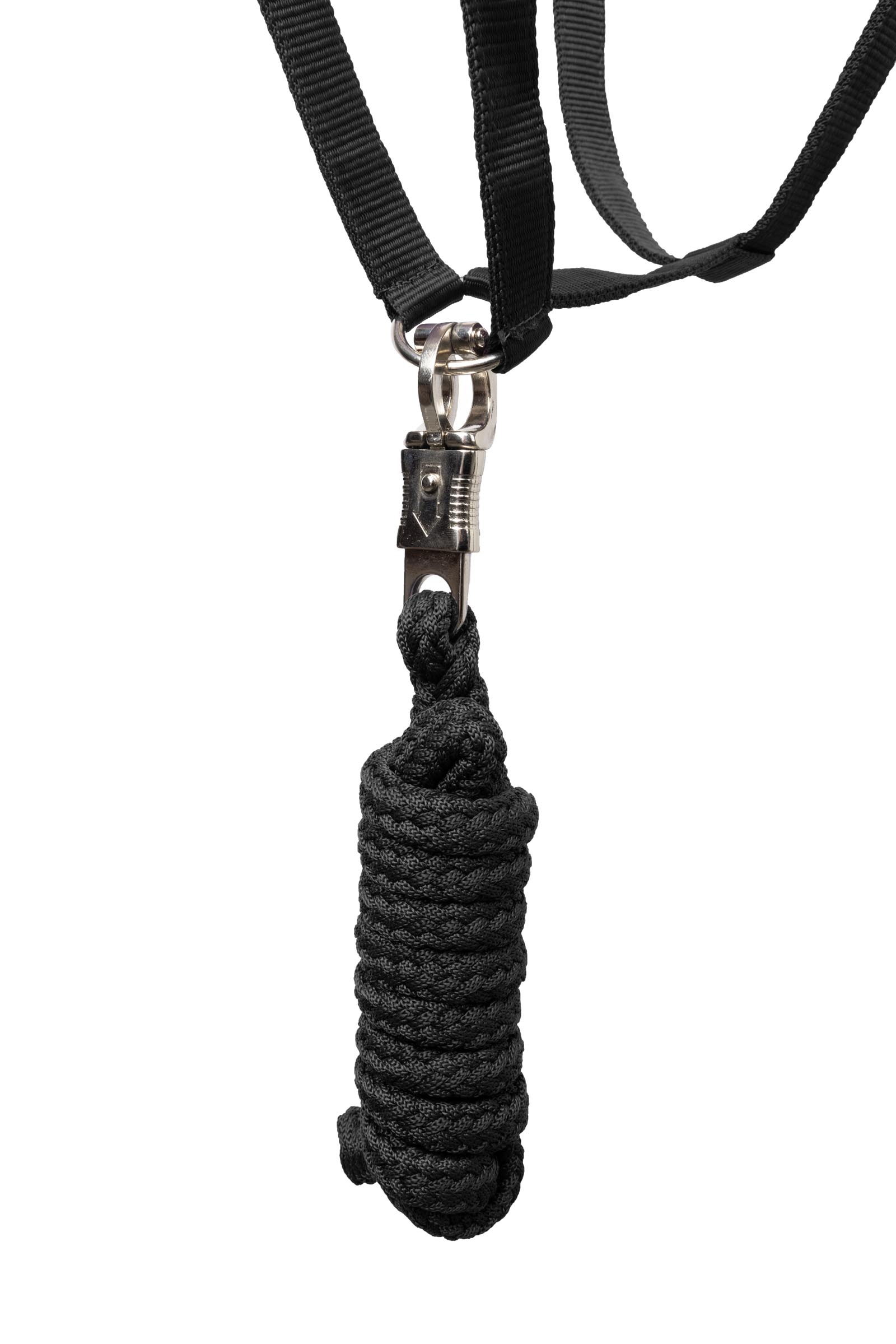 Horze Basic Halter & Panic Hook Lead