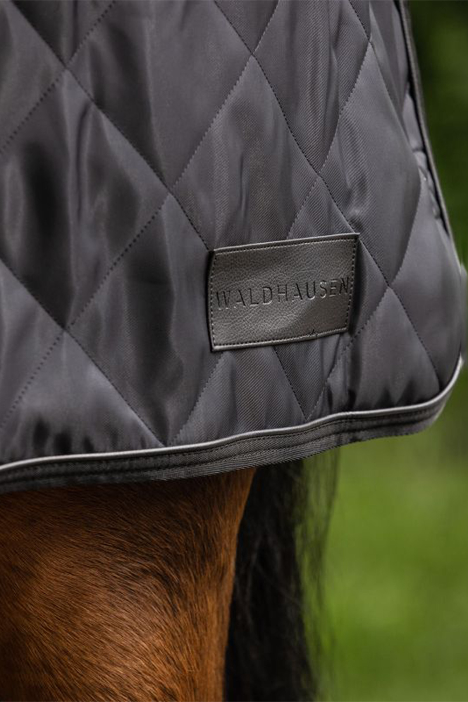 Waldhausen Exclusive Horsewalker Sheet, 50g