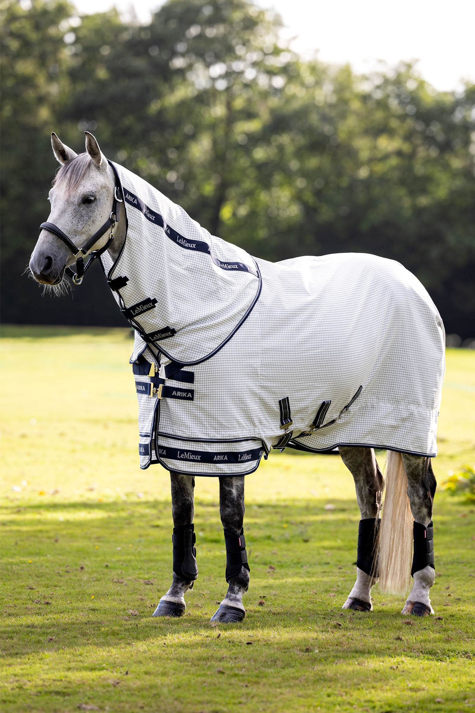 LeMieux Arika 450D Turnout Rug With Detachable Neck, 0g