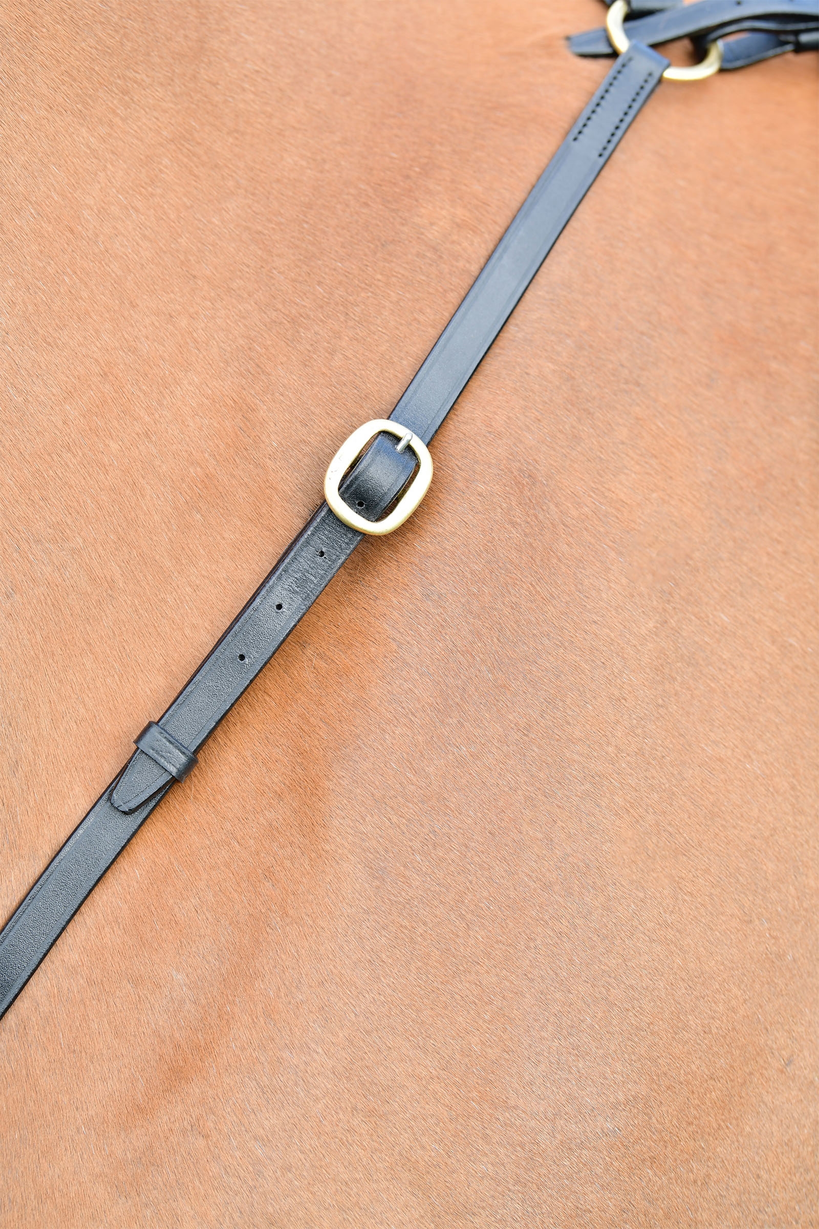 Kincade Classic 3 Point Breastplate With Running Martingale