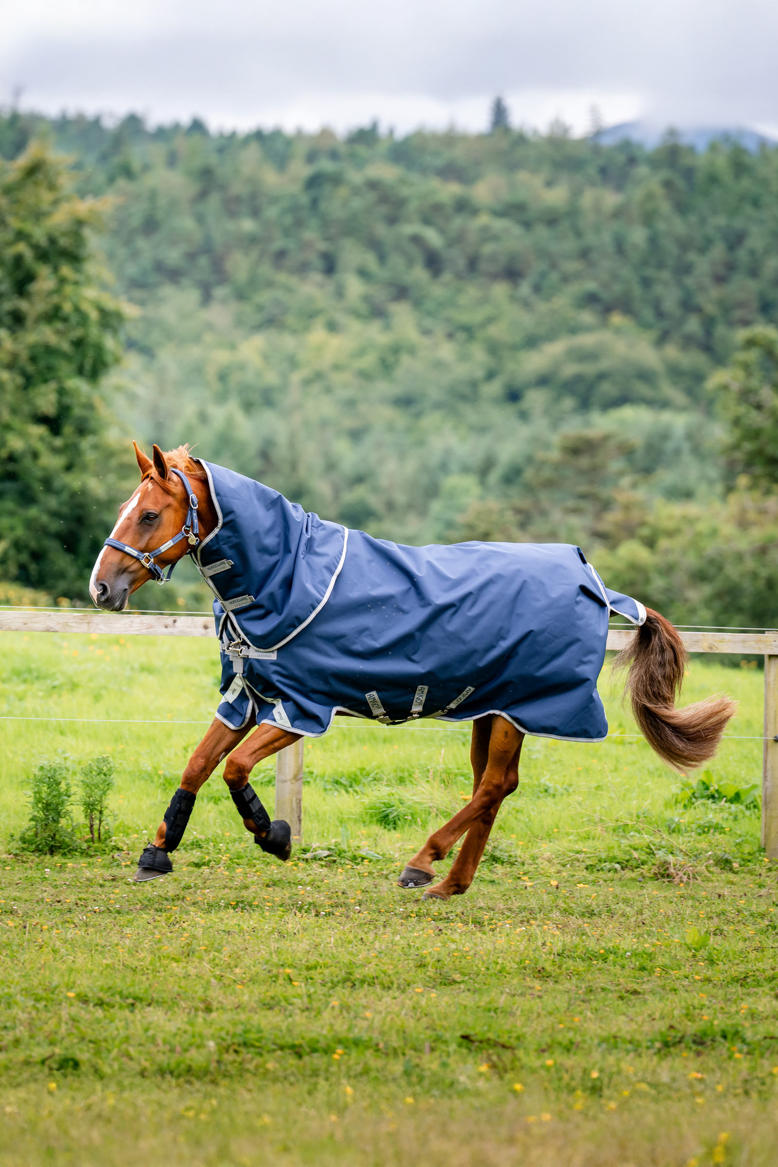 Horseware Amigo 1200D Plus Turnout Rug, 250 g