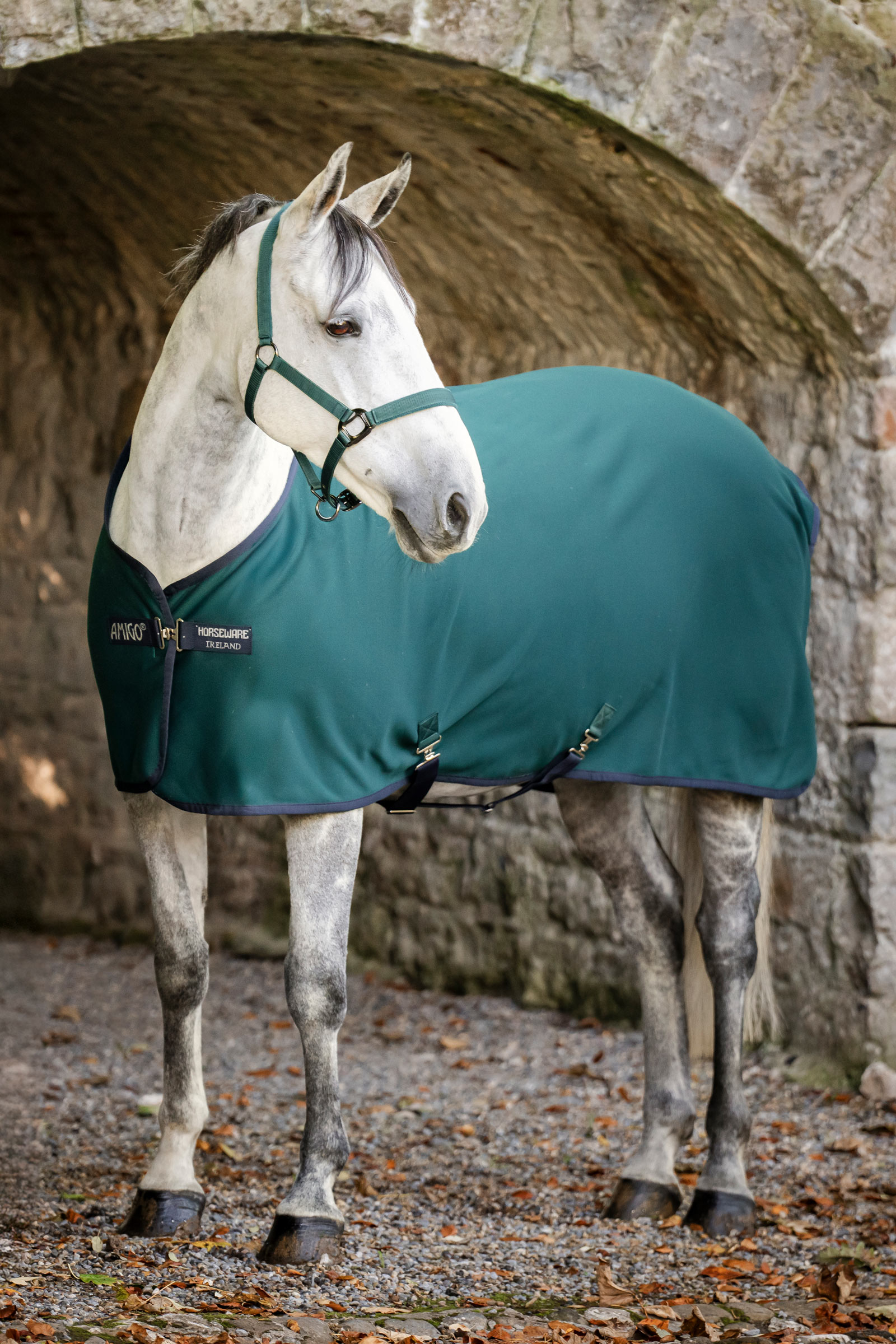 Horseware Amigo Jersey Cooler