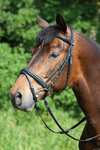 Kieffer Ergonomic Line Bridle