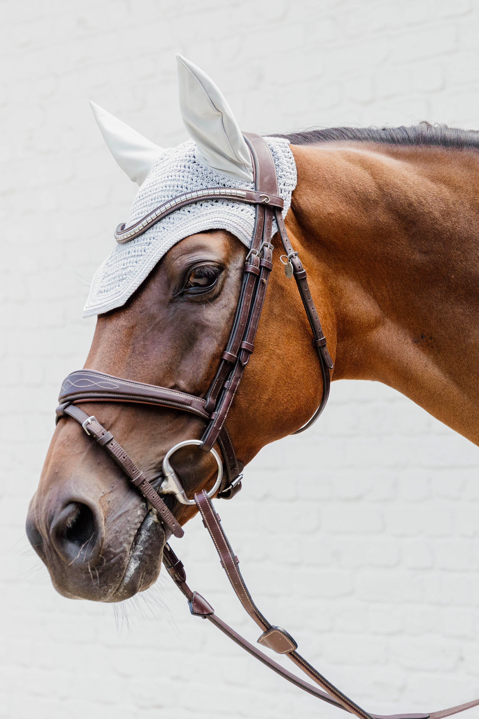 Kentucky Horsewear Fly veil Wellington diamond rope Soundless