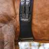 Collegiate Memory Foam Dressage Girth