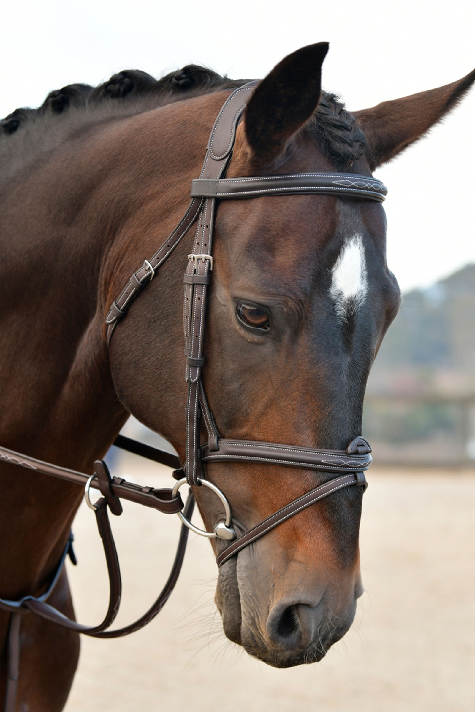 Collegiate Comfitec Opulux Fancy Stitch Padded Hanoverian Bridle