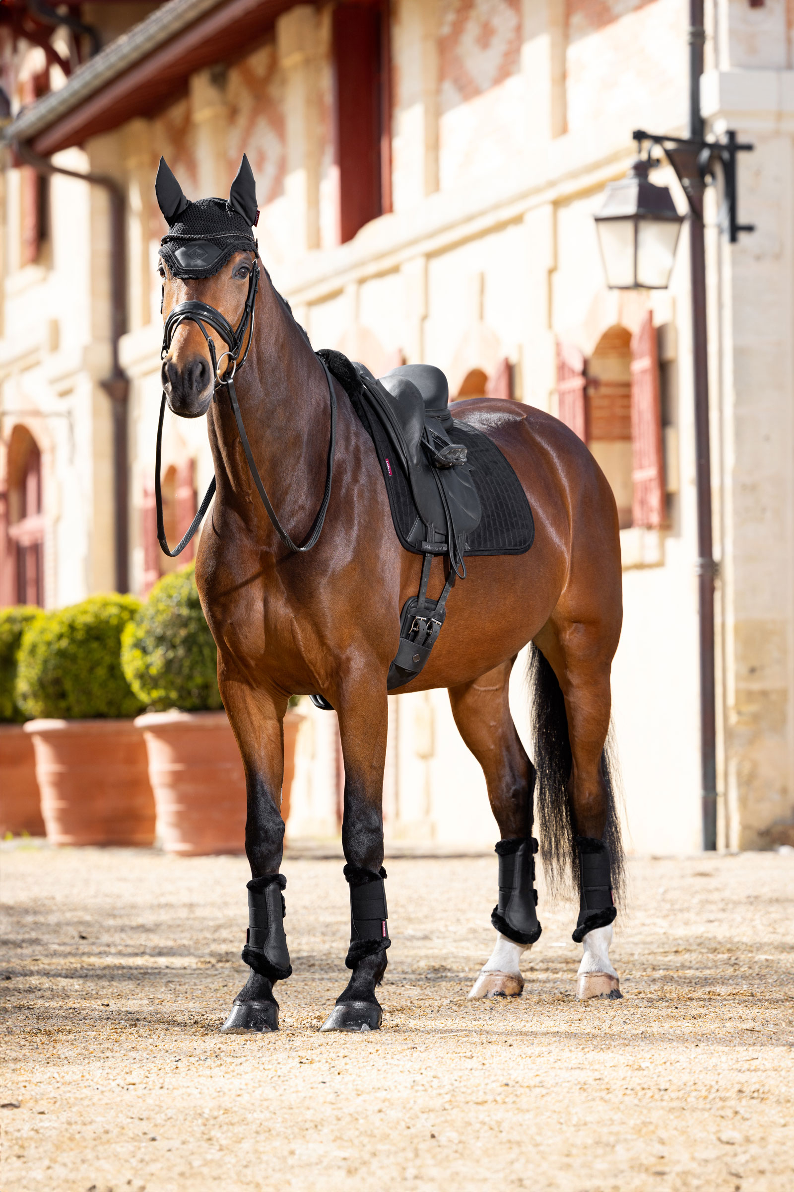 LeMieux Merino+ Dressage Saddle Pad Suede-effect, half lined