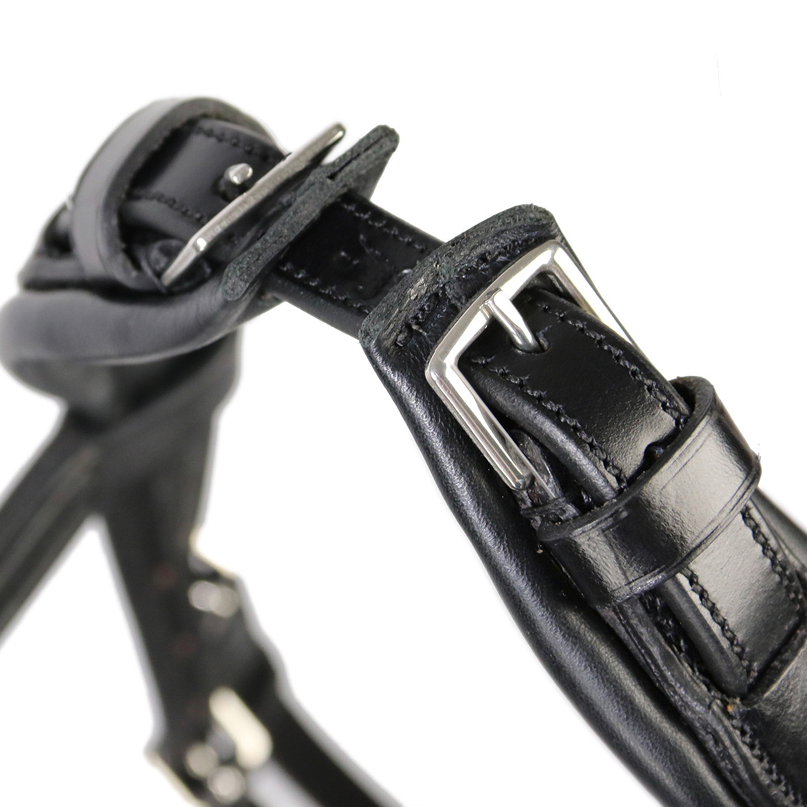 Schockemöhle Sports Equitus Rho Headpiece