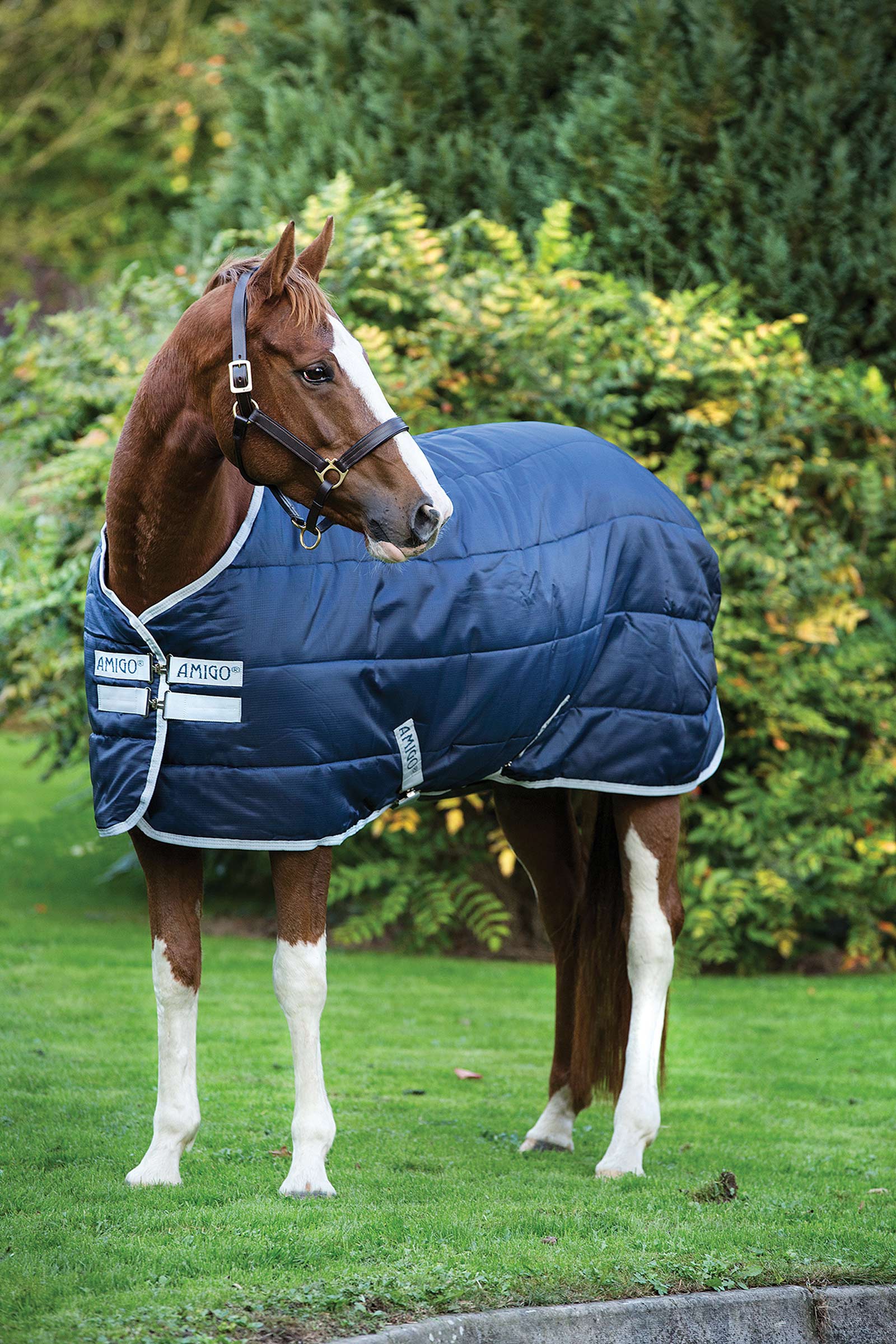 Horseware Amigo Insulator Stable Rug, 200g