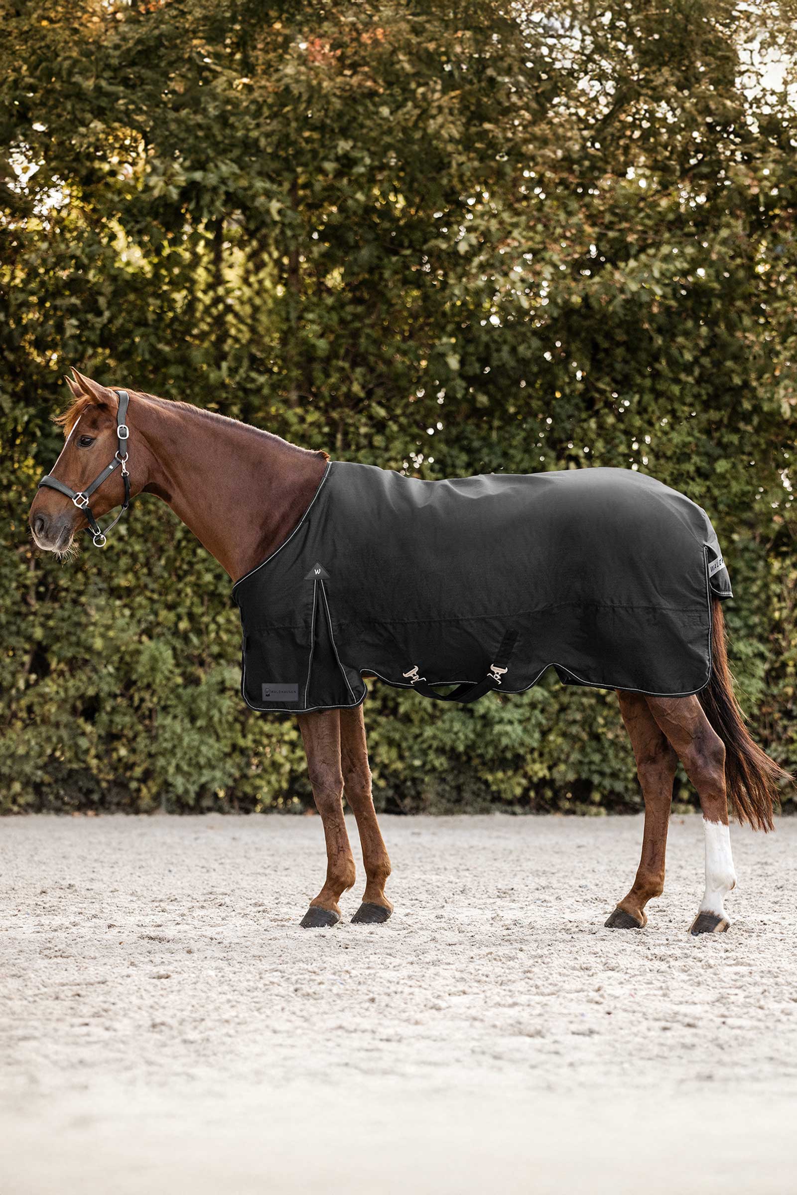 Waldhausen Arctic Turnout Rug, 50 g