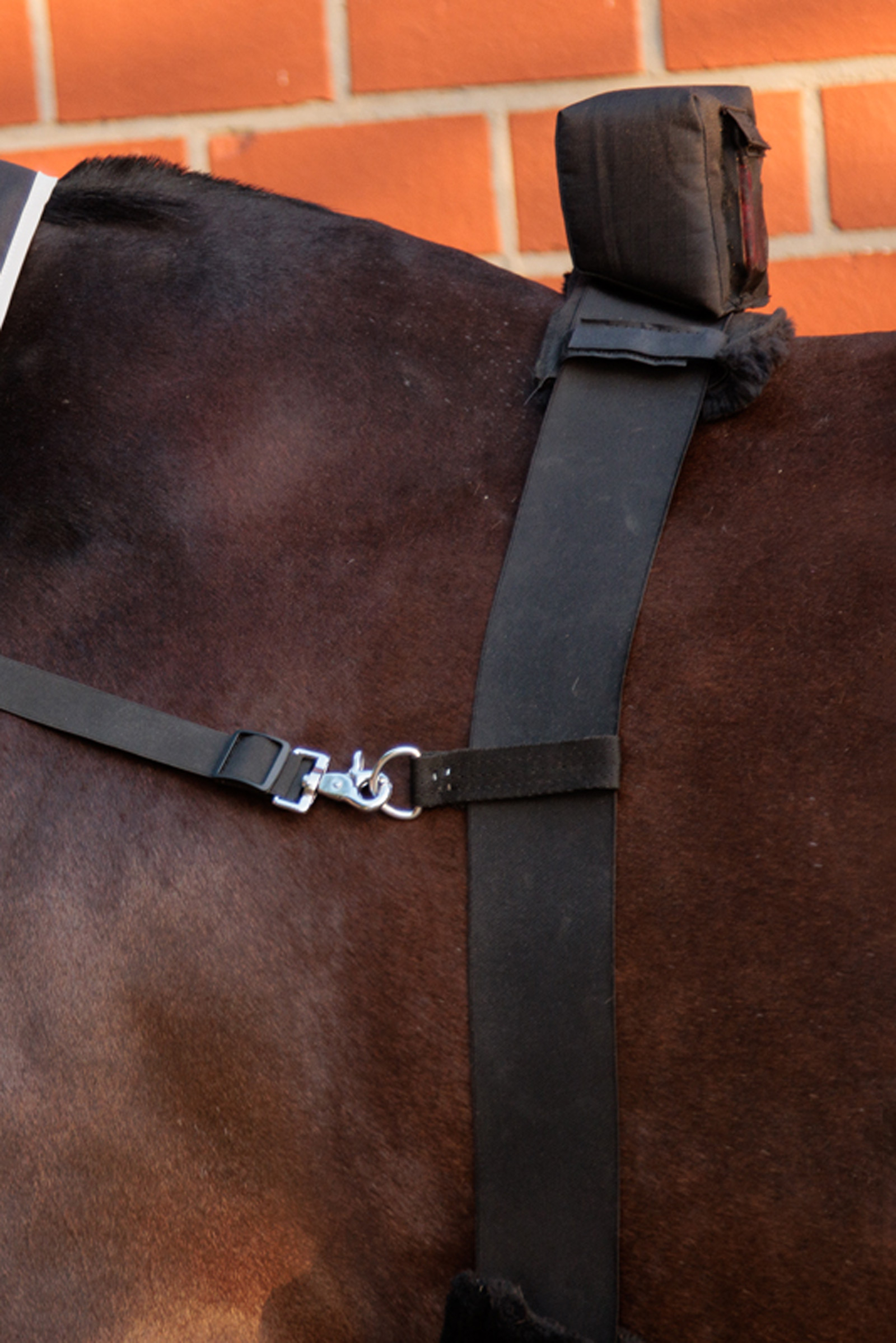 Kavalkade Horselight Belly Surcingle With Red Rear Light
