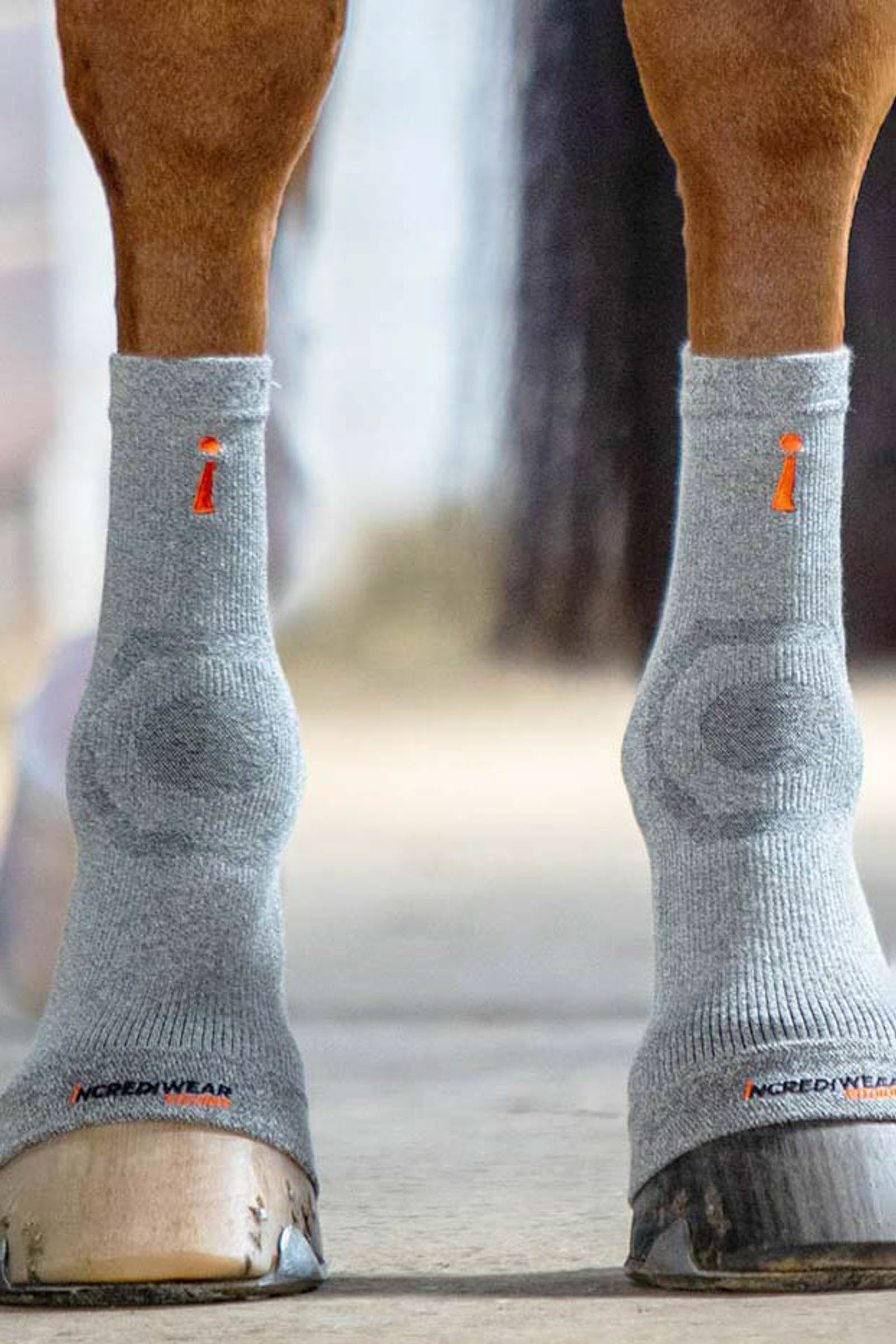 Incrediwear Equine Hoof Socks