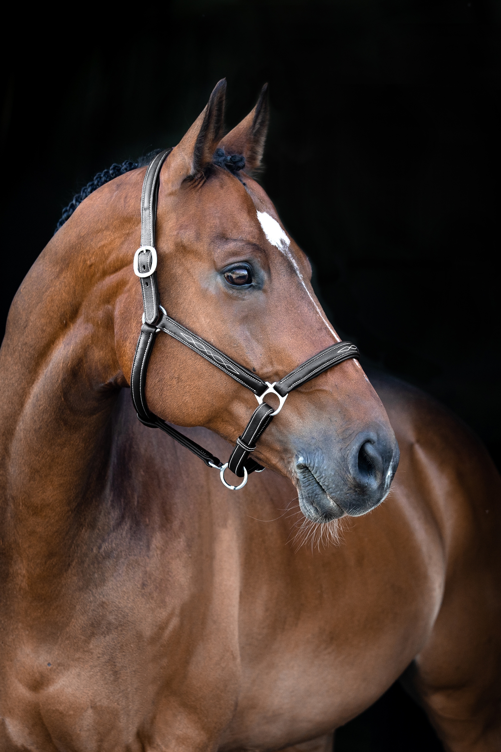 Horze Warren Soft Leather Halter