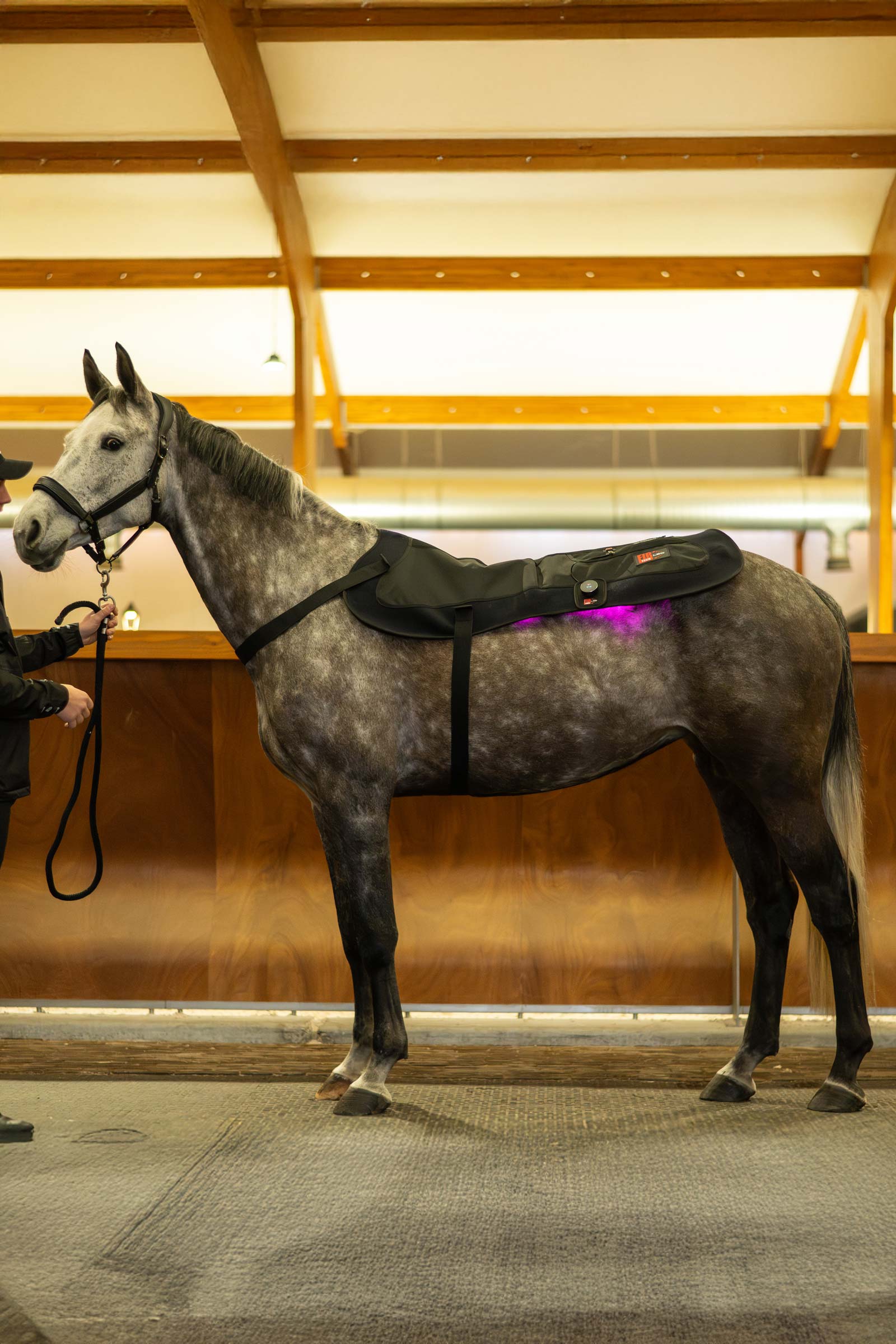 CATAGO FIR-Tech LED pad