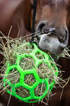 Waldhausen Hay Ball