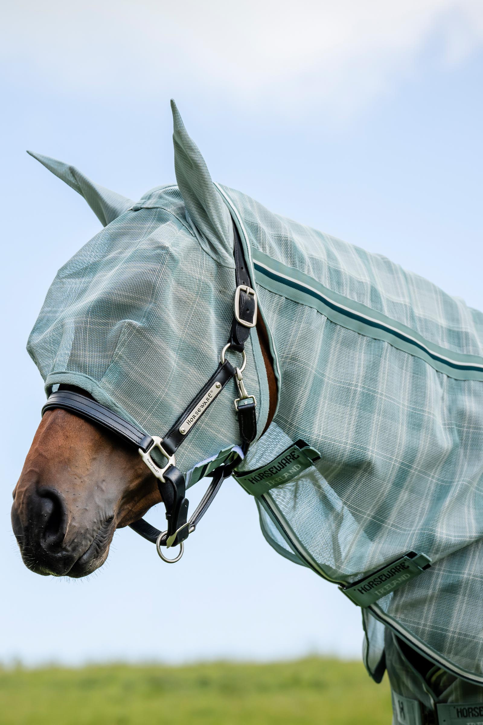 Witney Dynasty Horseware Newmarket Fly Mask