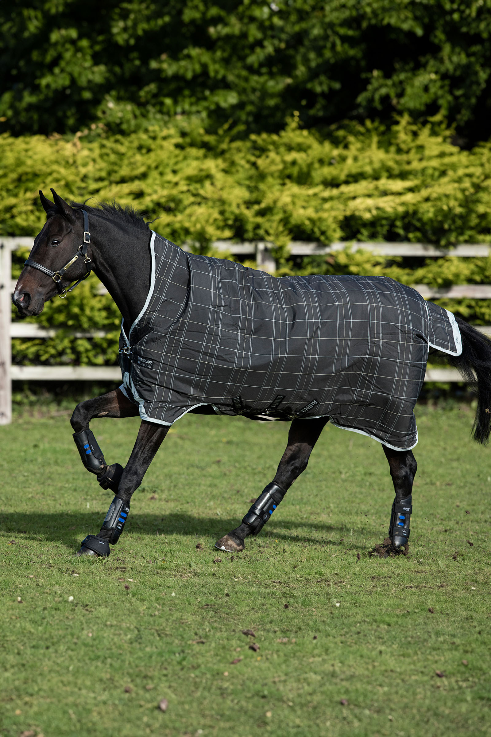 Black/Grey/White Check & Gray Horseware Rhino Wug Turnout 100g