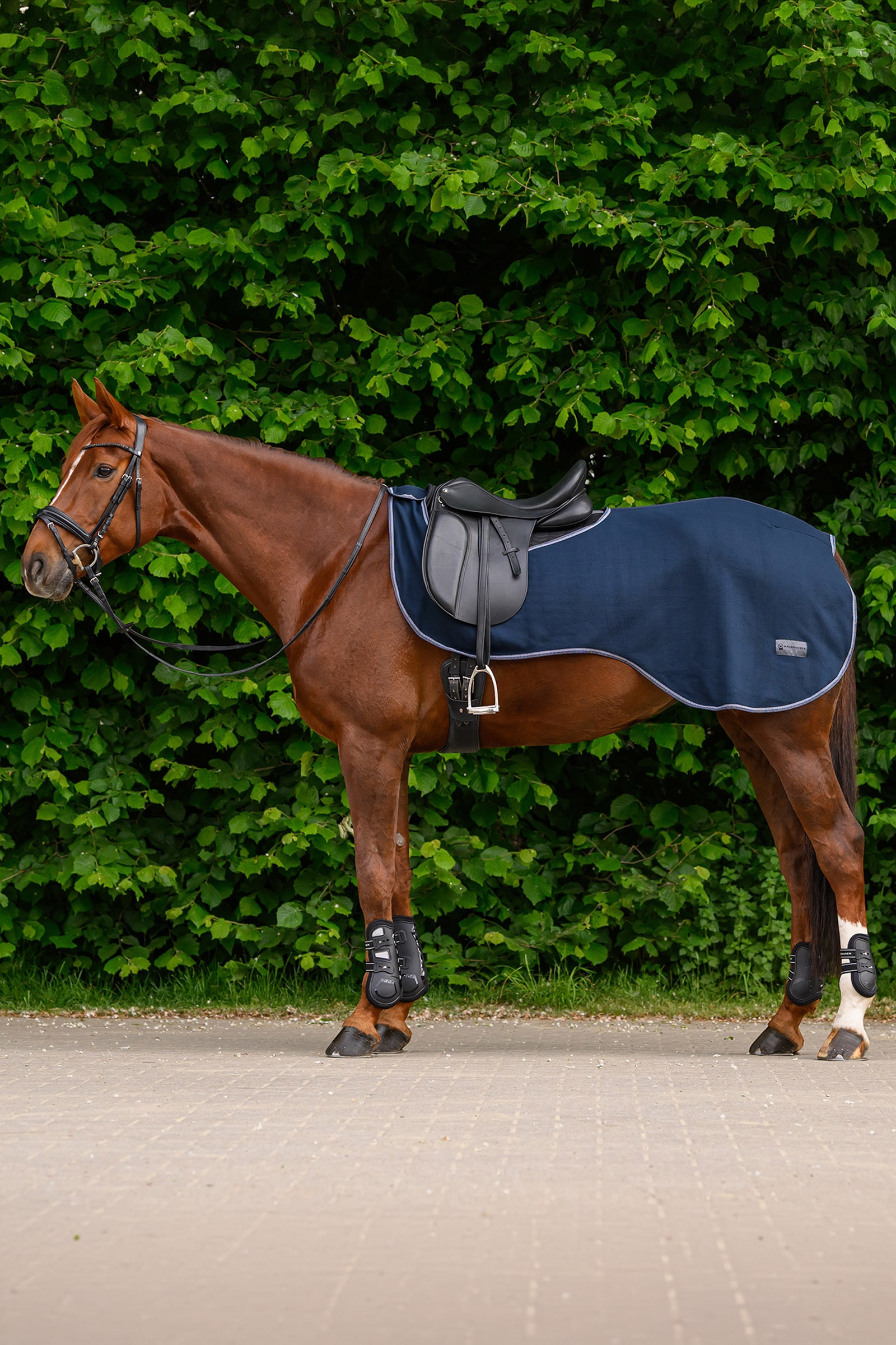 Waldhausen ECONOMIC Fleece Exercise Rug