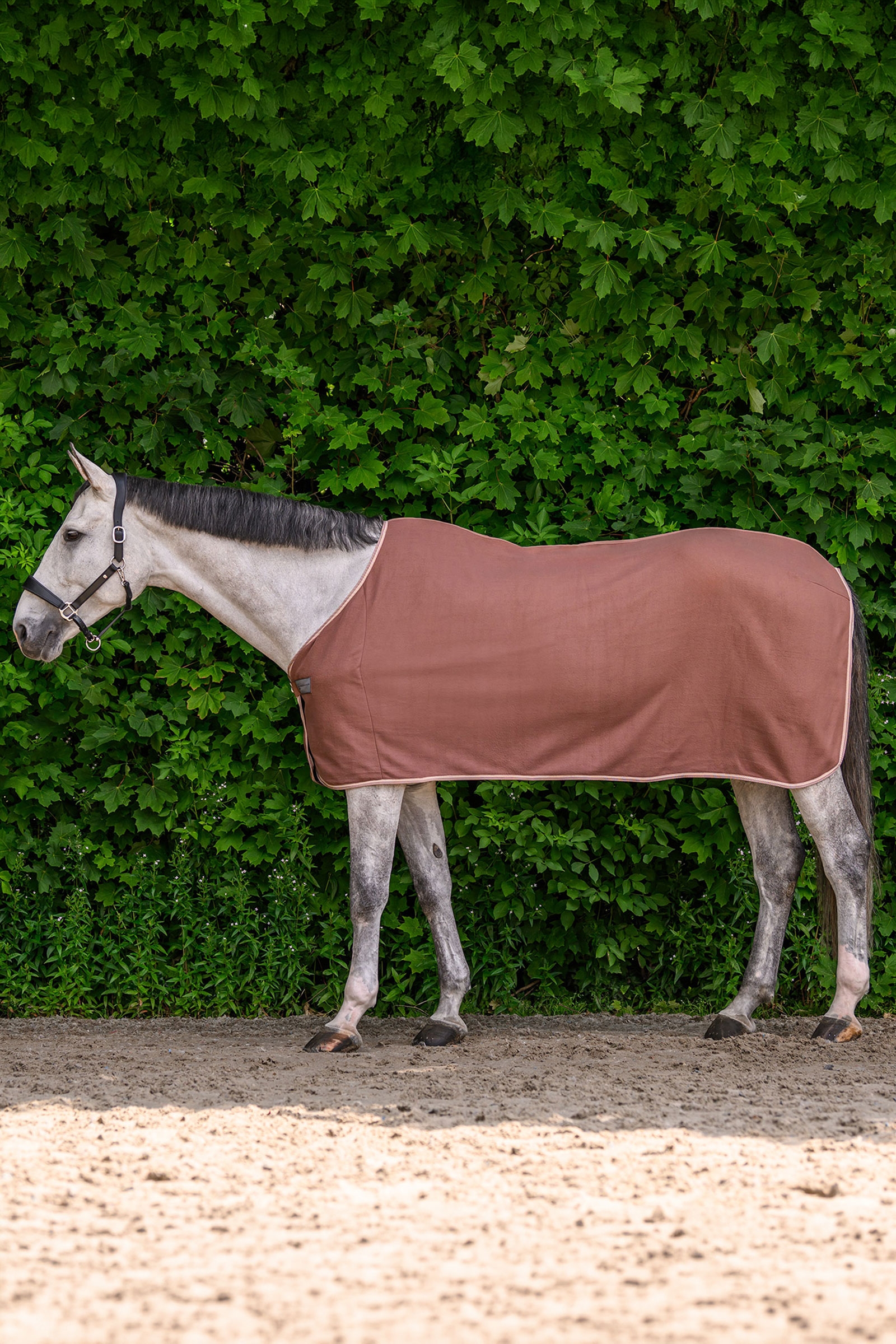 Mocca Waldhausen ECONOMIC Fleece Rug