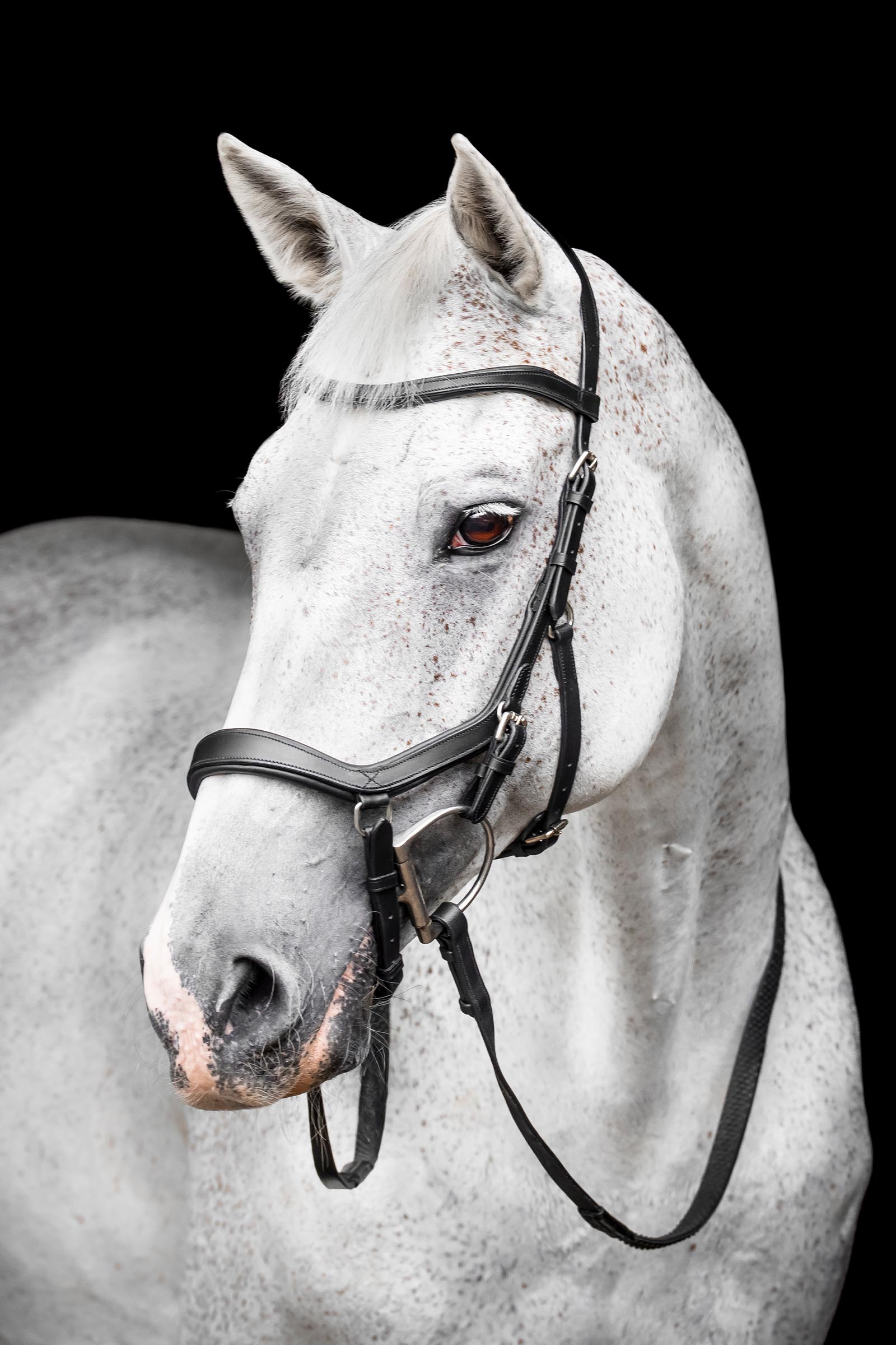 Horseware Rambo Micklem Competition Bridle