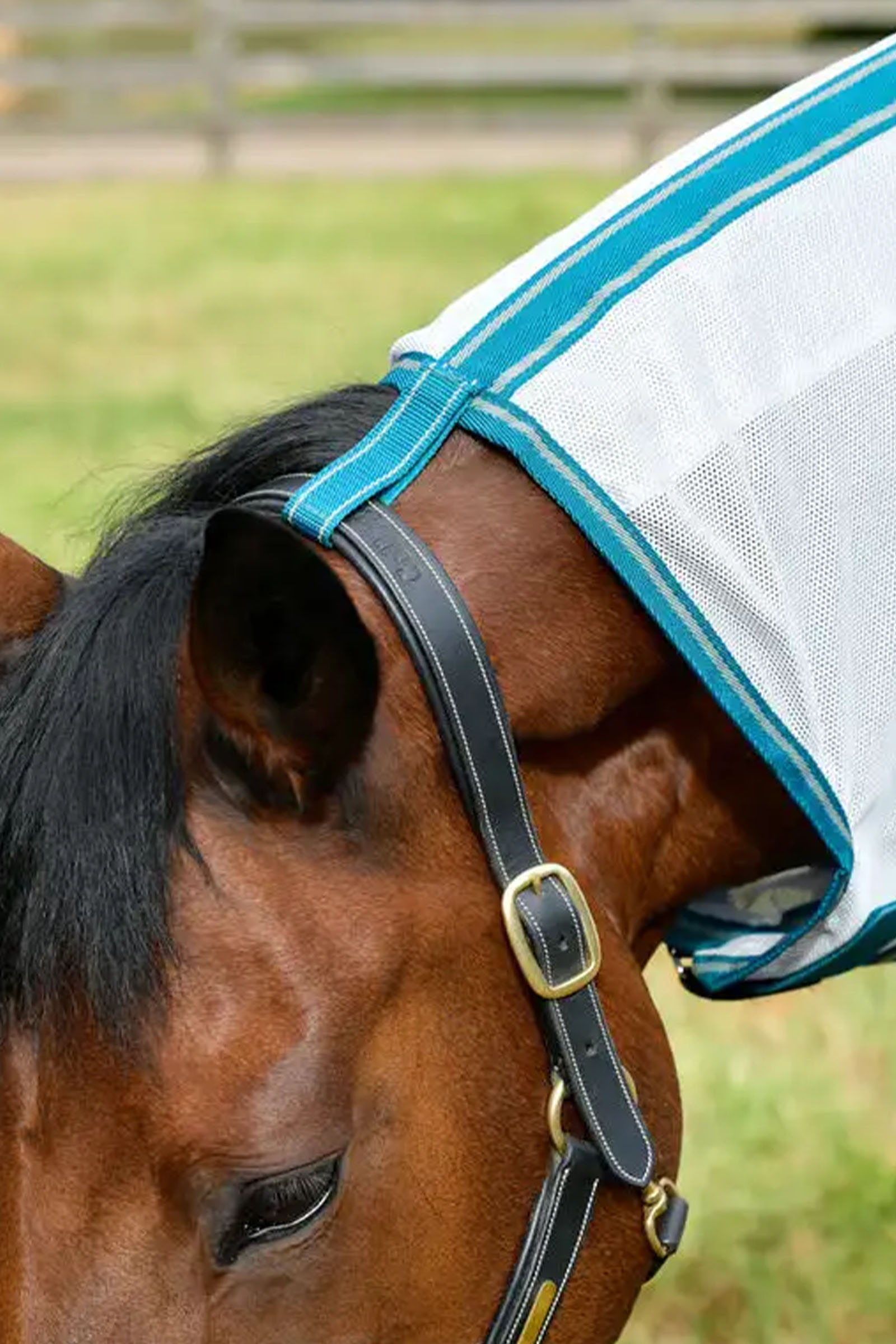 Weatherbeeta Comfitec Zephyr Plus Mesh Combo Neck