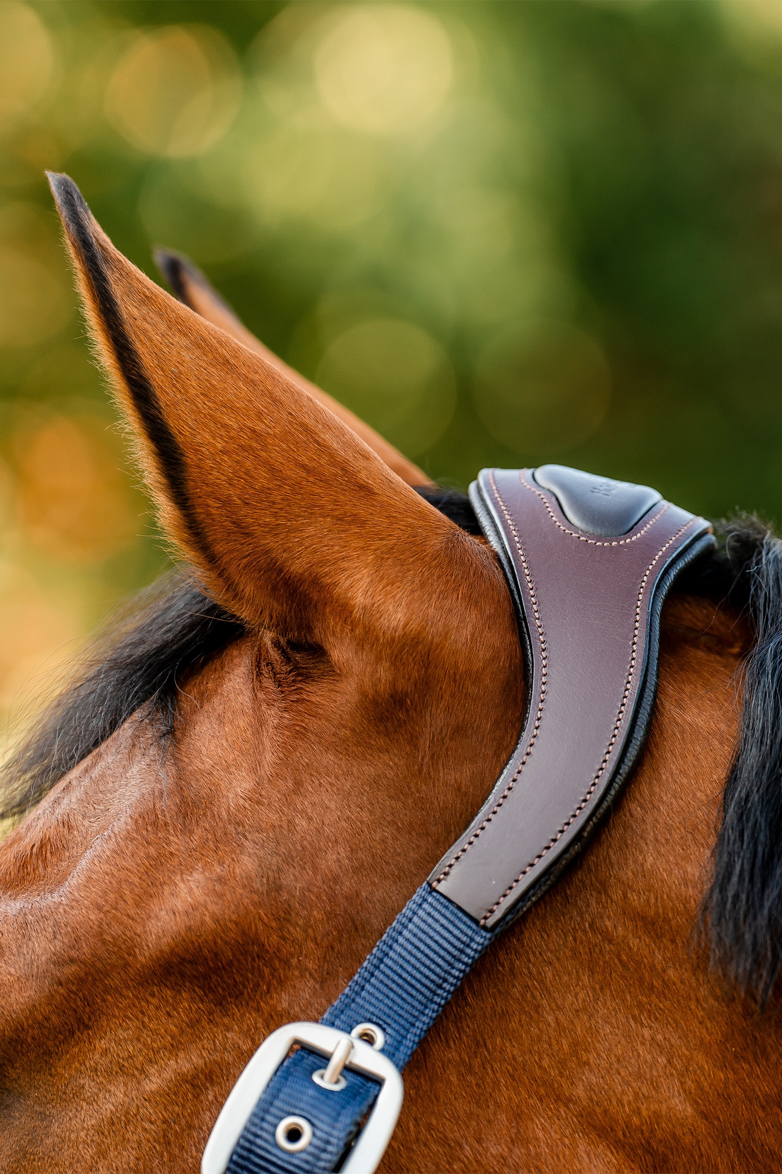 Horseware Signature Competition Headcollar