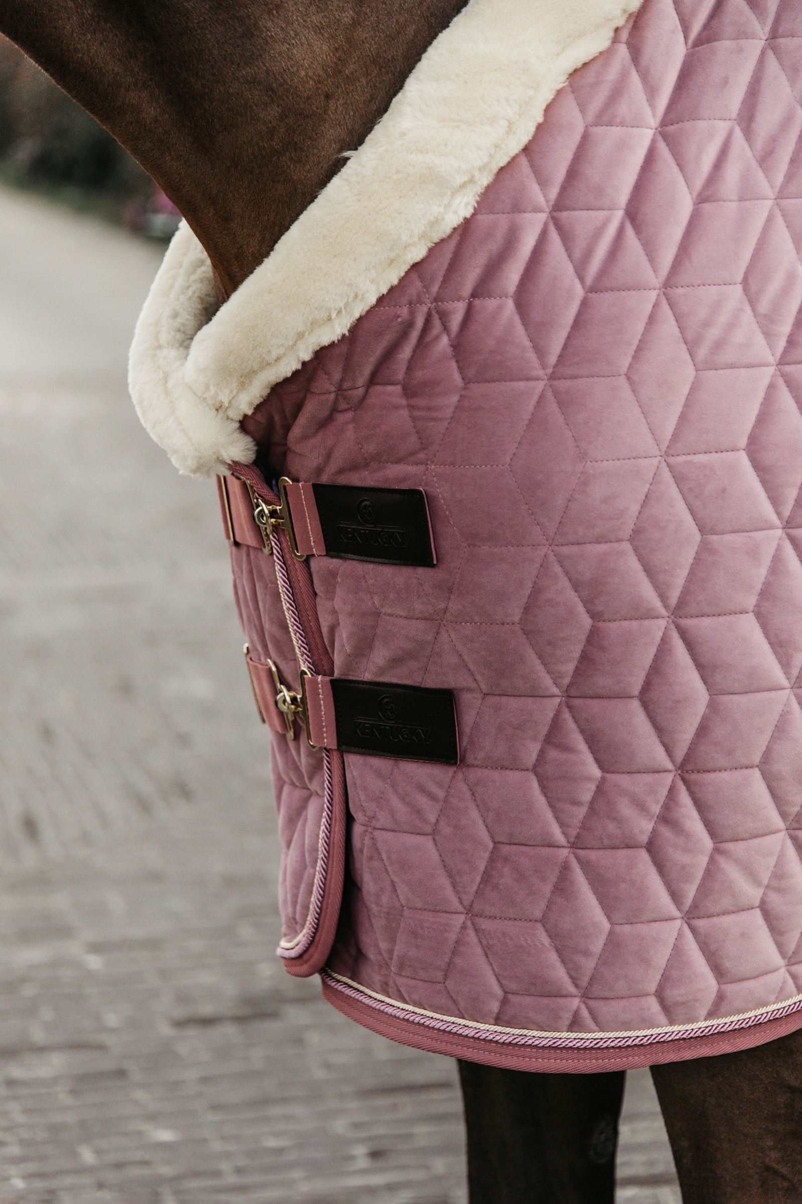 Kentucky Horsewear Velvet Show Rug, 160g